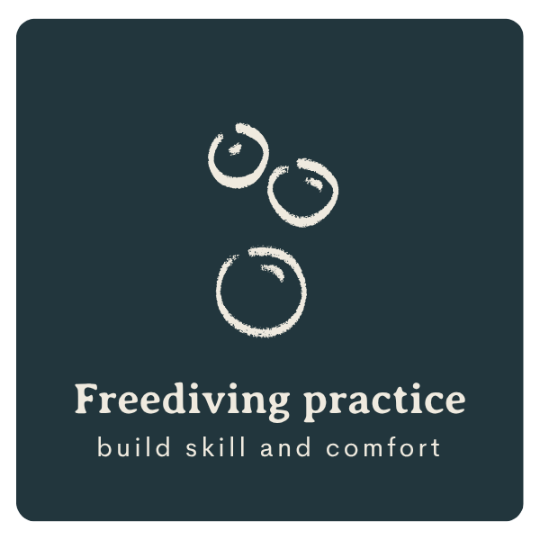 icon: freediving practice, build skill and comfort