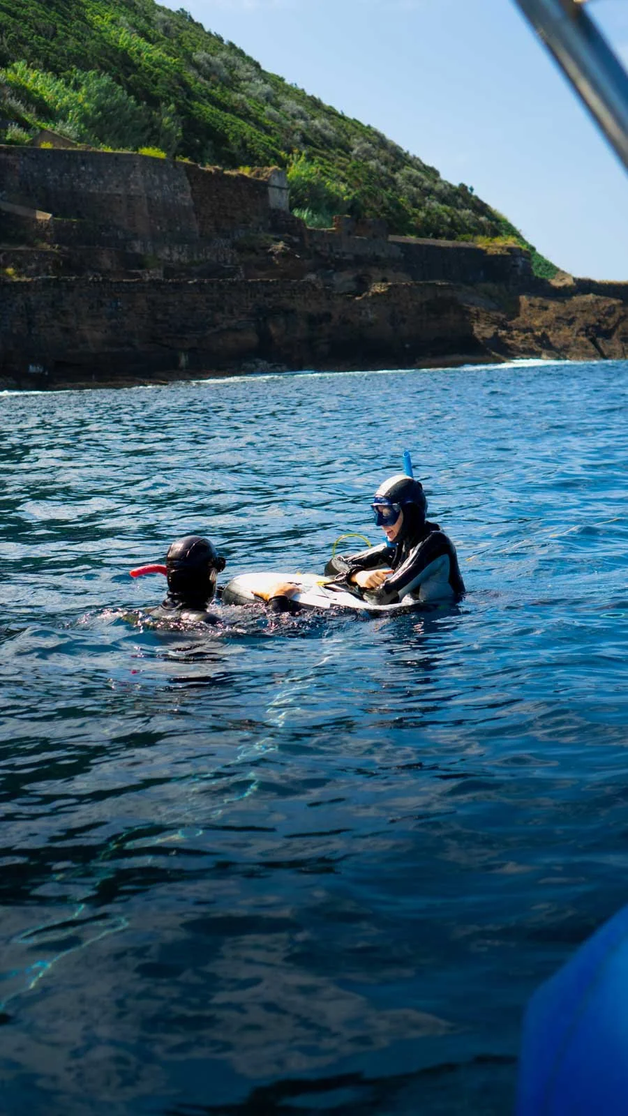 A person freediving underwater, with two dolphins swimming above in clear blue water.