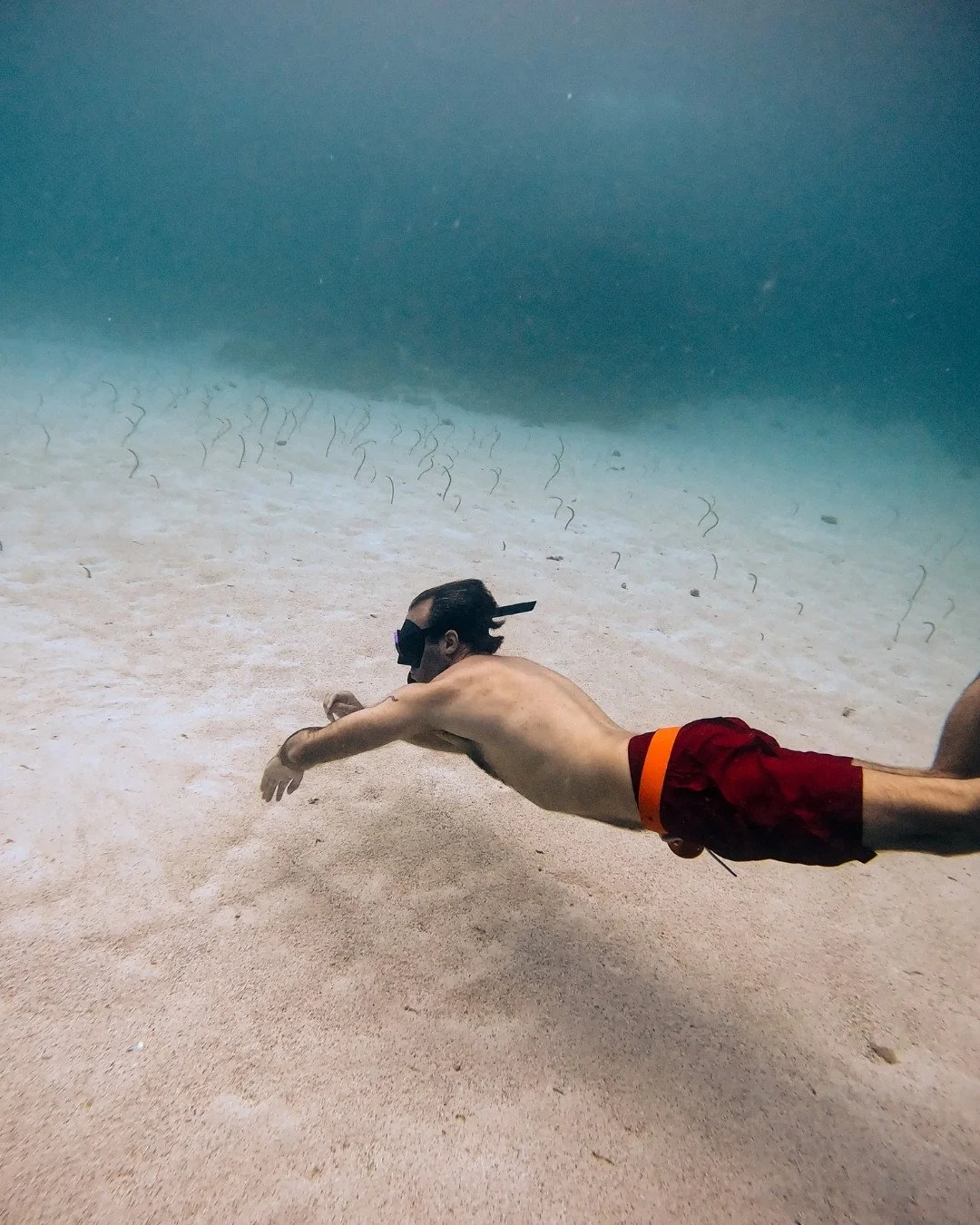 A man wearing a snorkel mask and red swim shorts is swimming underwater near the sandy ocean floor.