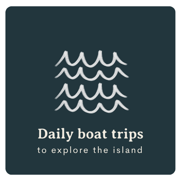 icon: daily boat trips to explore the island