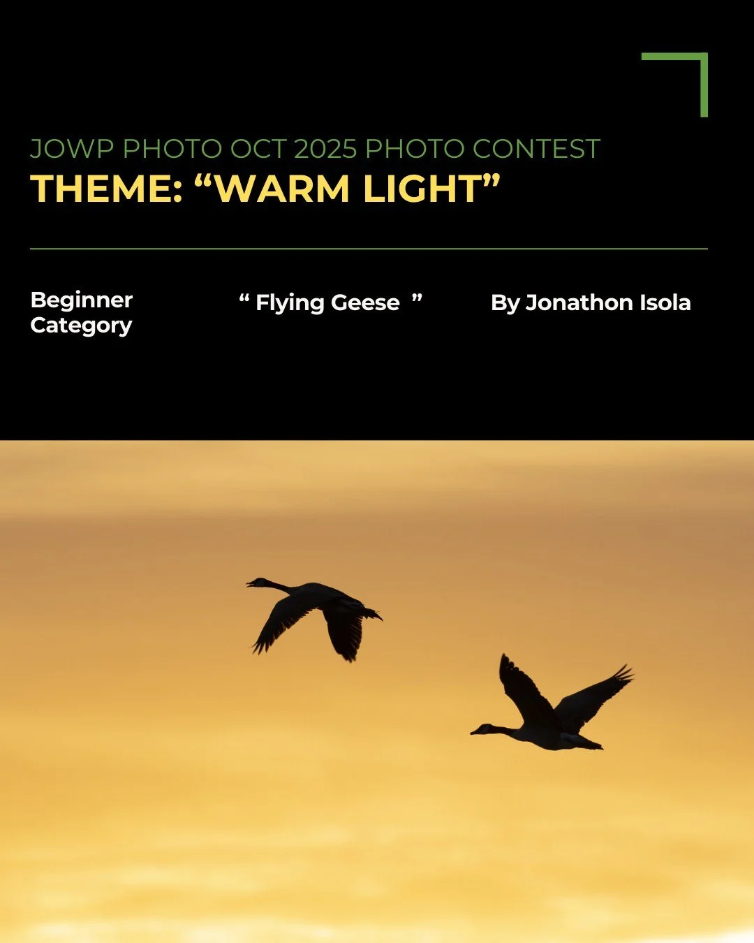 This was my first big win, Journal of Wildlife Photography's International photo contest, 1st place.