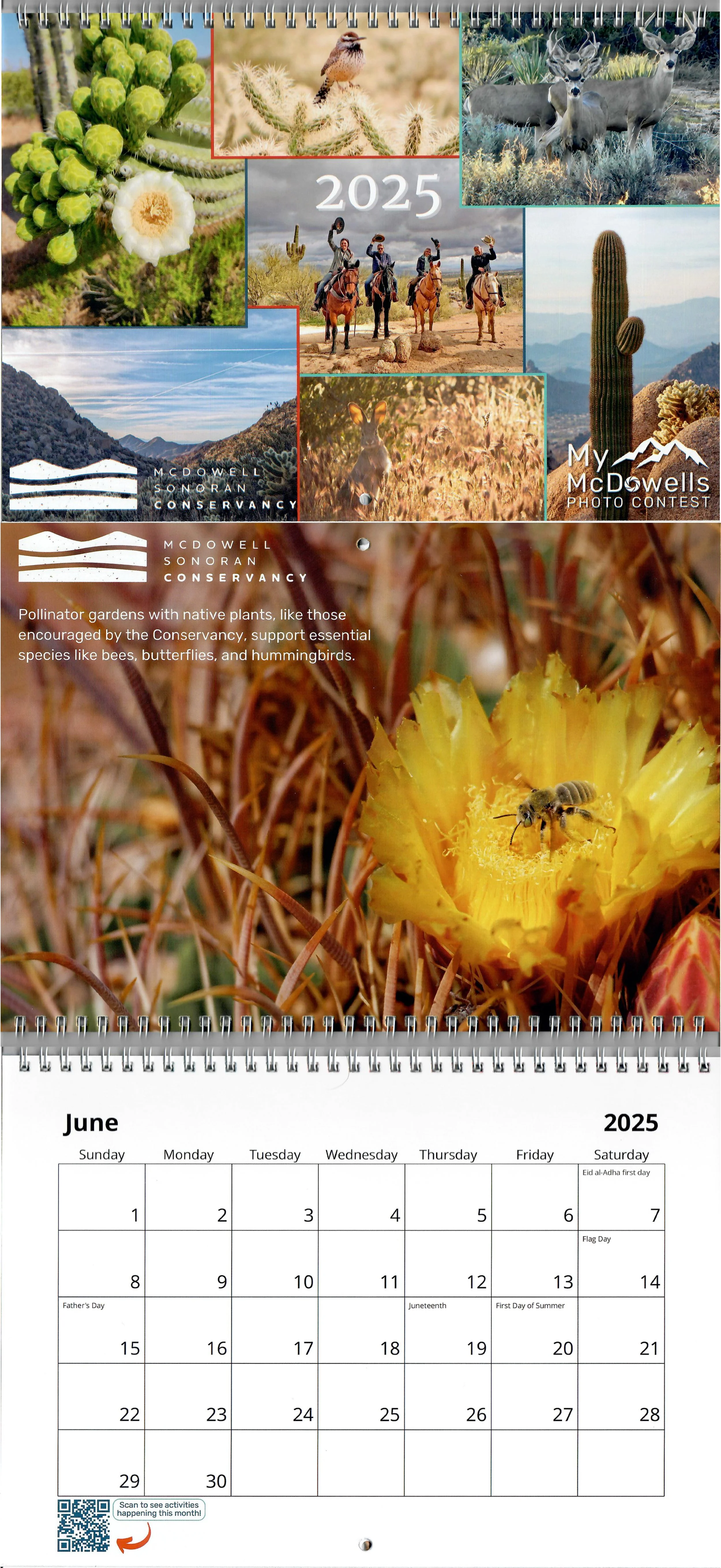 2024 Photography Contest winner for the McDowell Sonoran Conservancy.  My photo of a bee and cactus bloom was featured in the 2025 wildlife calendar for the month of July. 