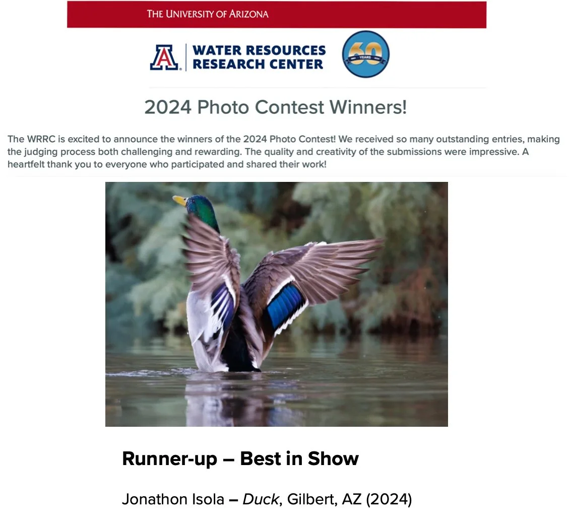 This was a statewide photo competition I won runner-up. 