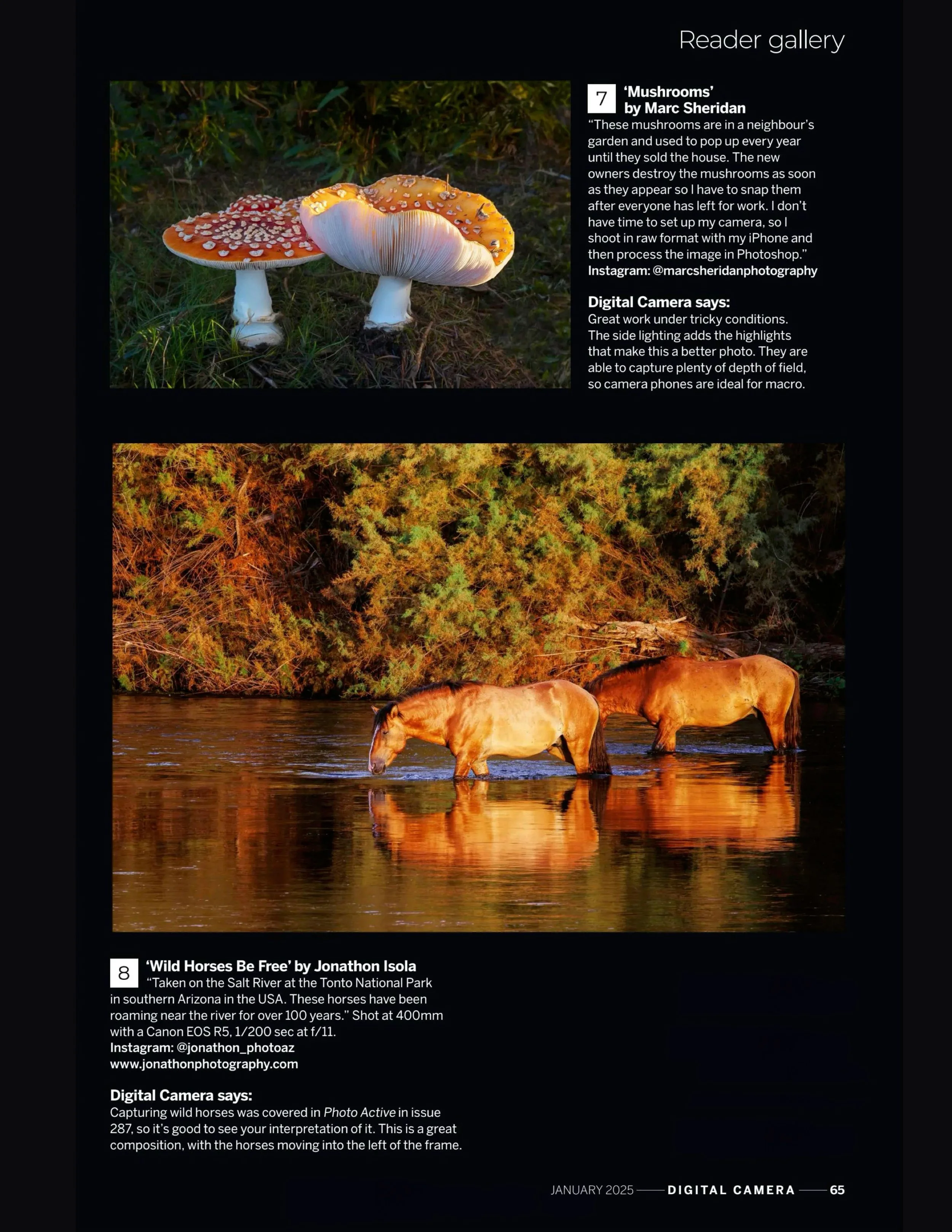 Digital Camera World Magazine Published my wild horses photo