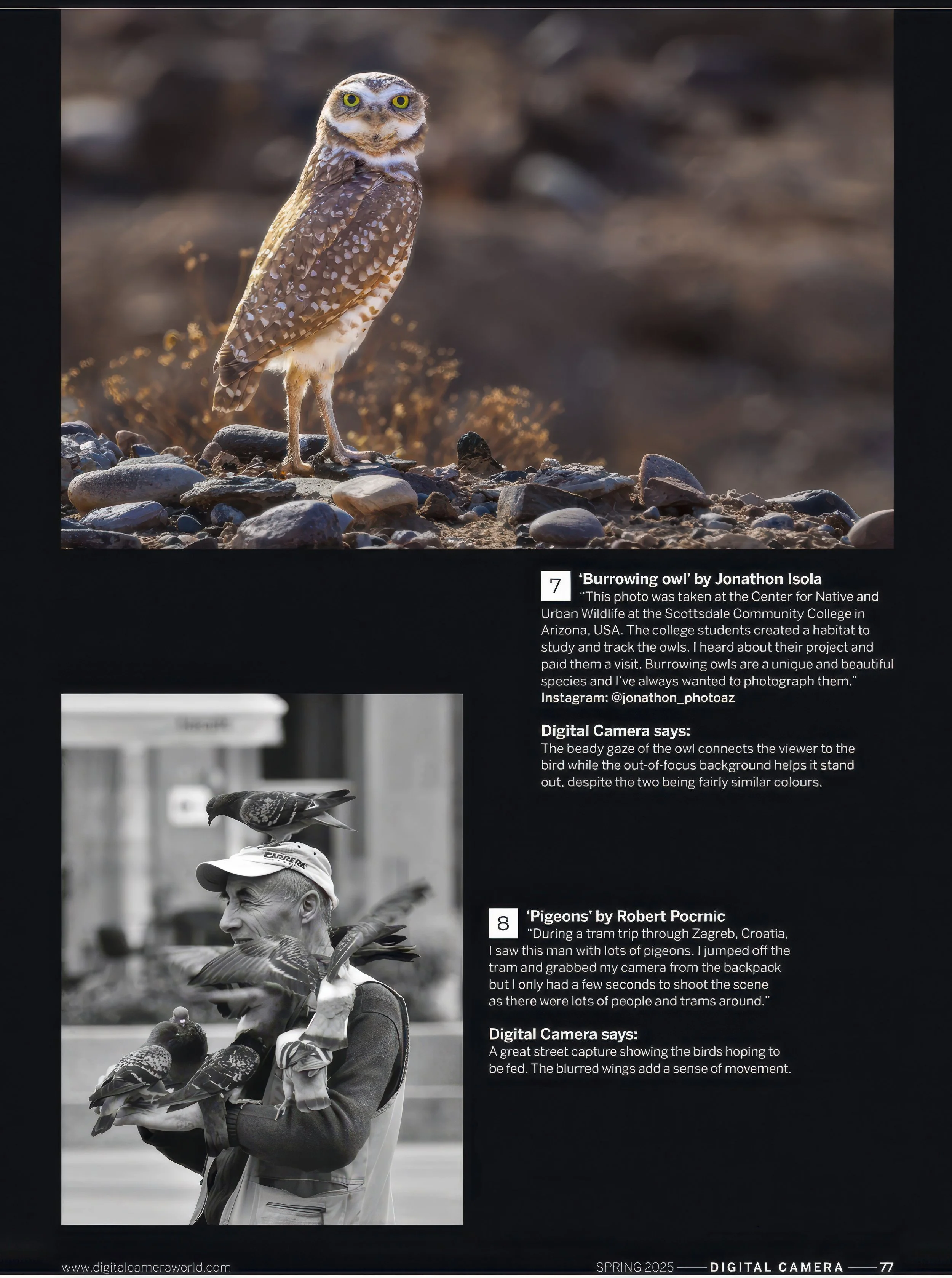 Digital Camera World Magazine Published my burrowing owl photo 