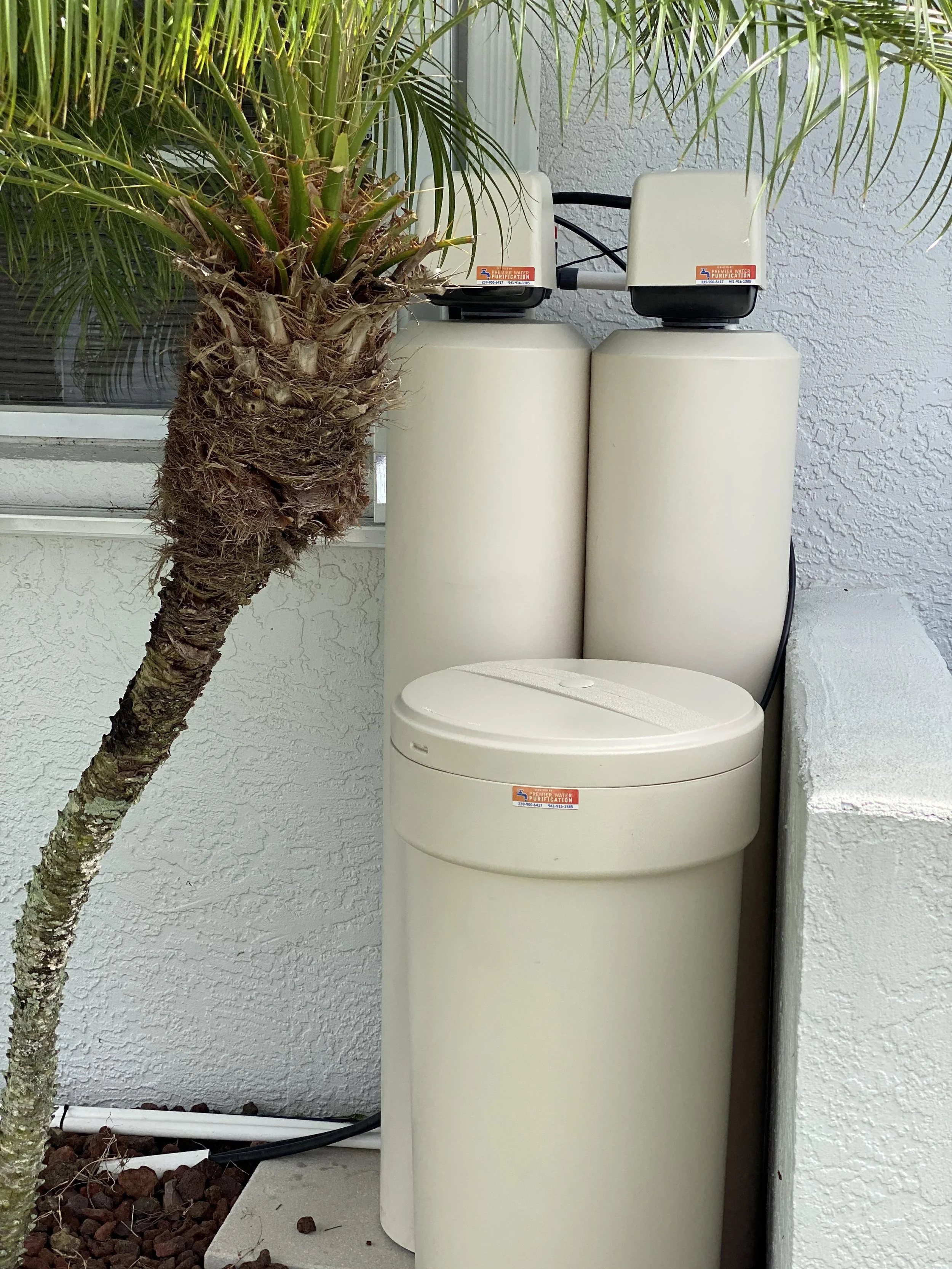 Close-up of a large ornamental palm tree with a thick, textured trunk on a concrete patio, next to two cream-colored water filtration units against a stucco wall.