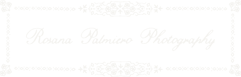 Rosana Palmiero Photography