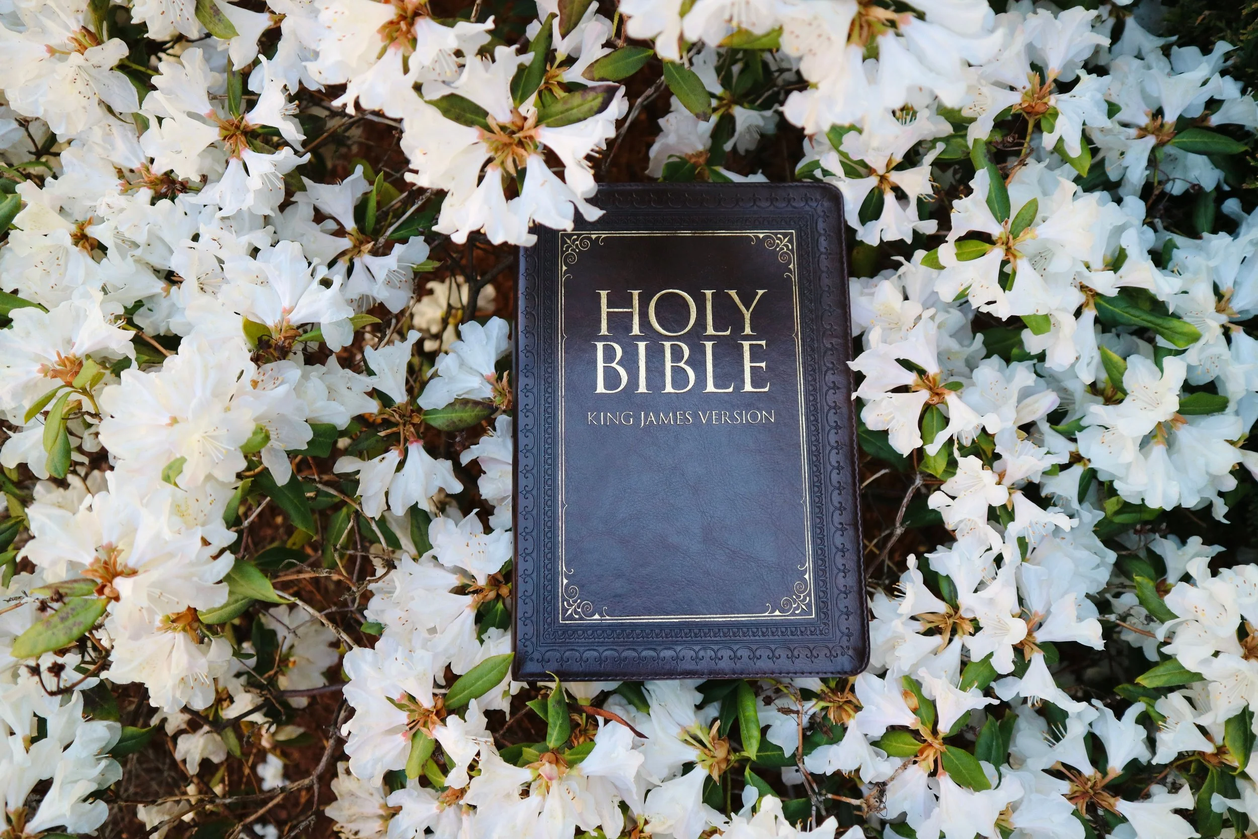 Life In The Spirit
