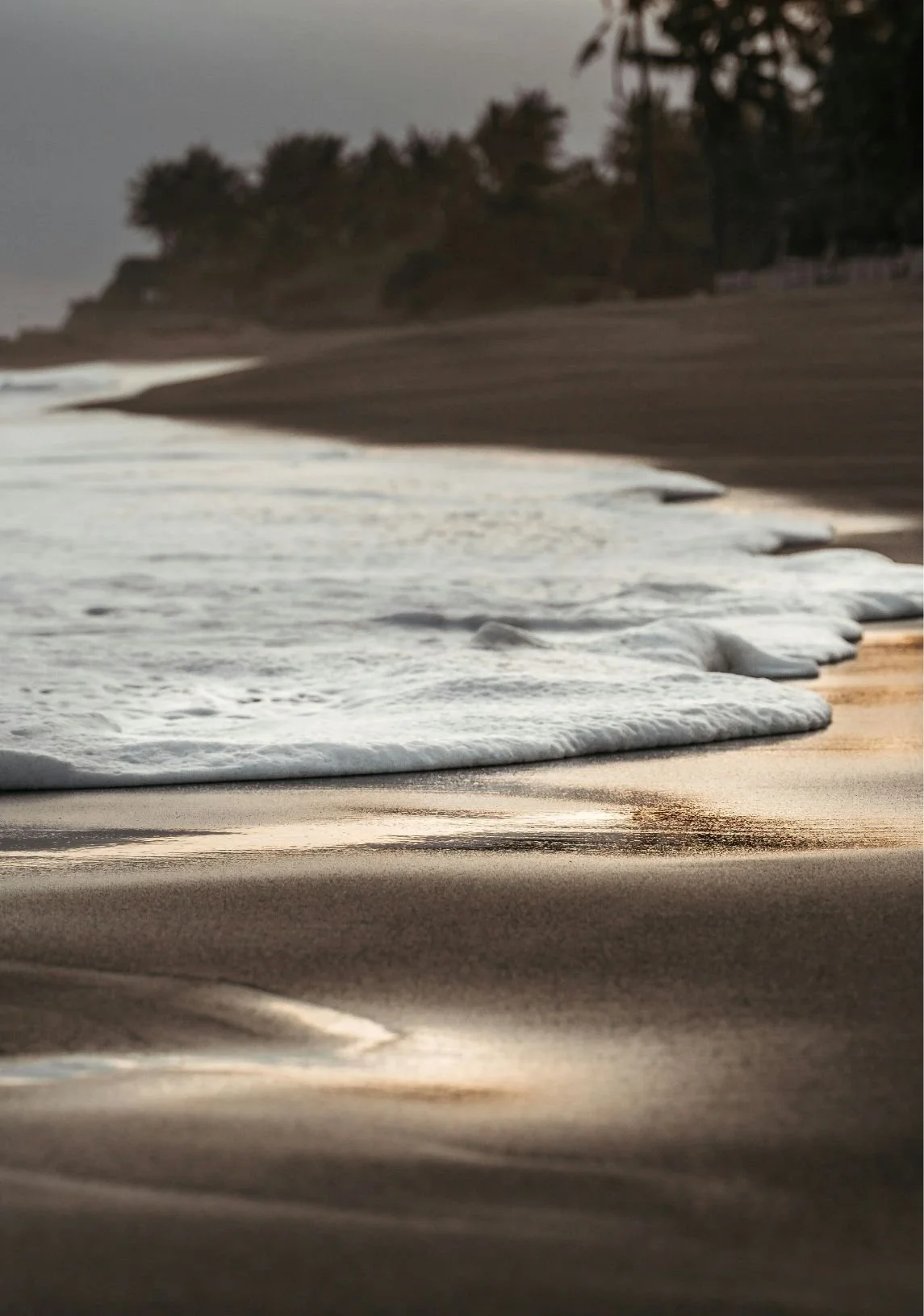 Waves crashing on a sandy beach during an overcast day, with trees and a cliff in the background.