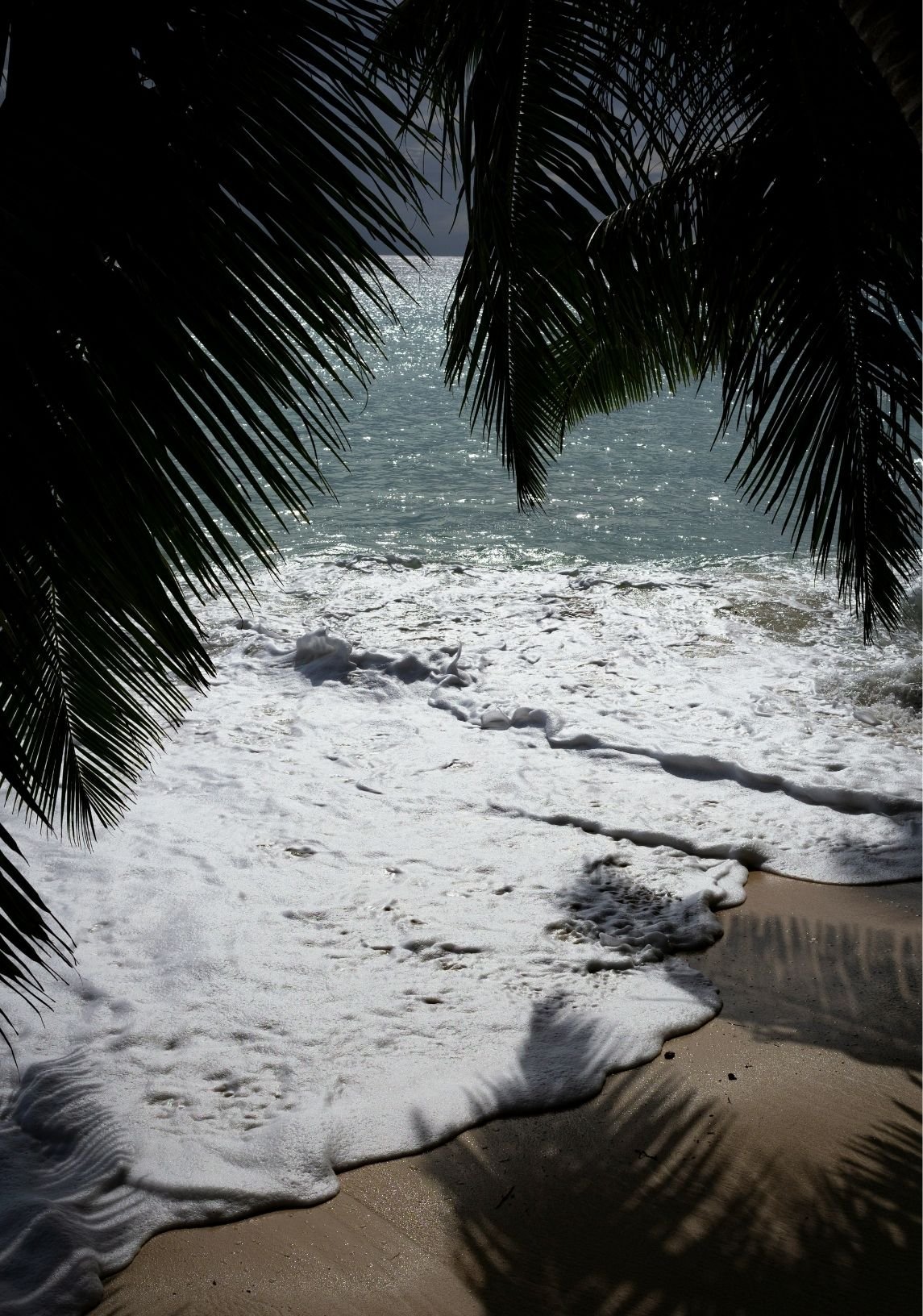 View of a beach with waves crashing on the shore, framed by palm tree leaves in the foreground, sunlight reflecting off the water in the background.
