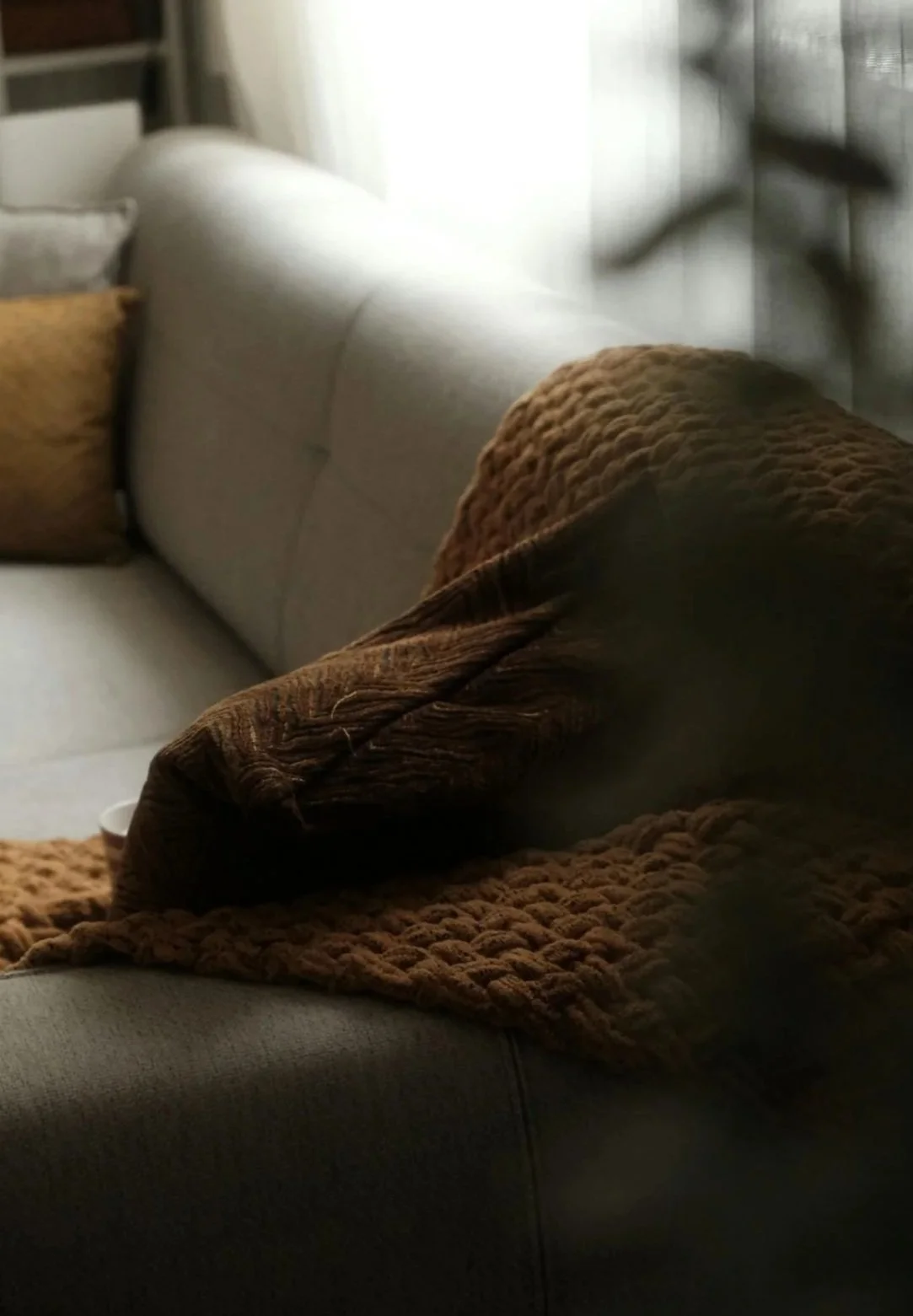 A cozy living room scene with a light-colored sofa decorated with brown and mustard throw pillows and a textured brown blanket, illuminated by soft natural light.
