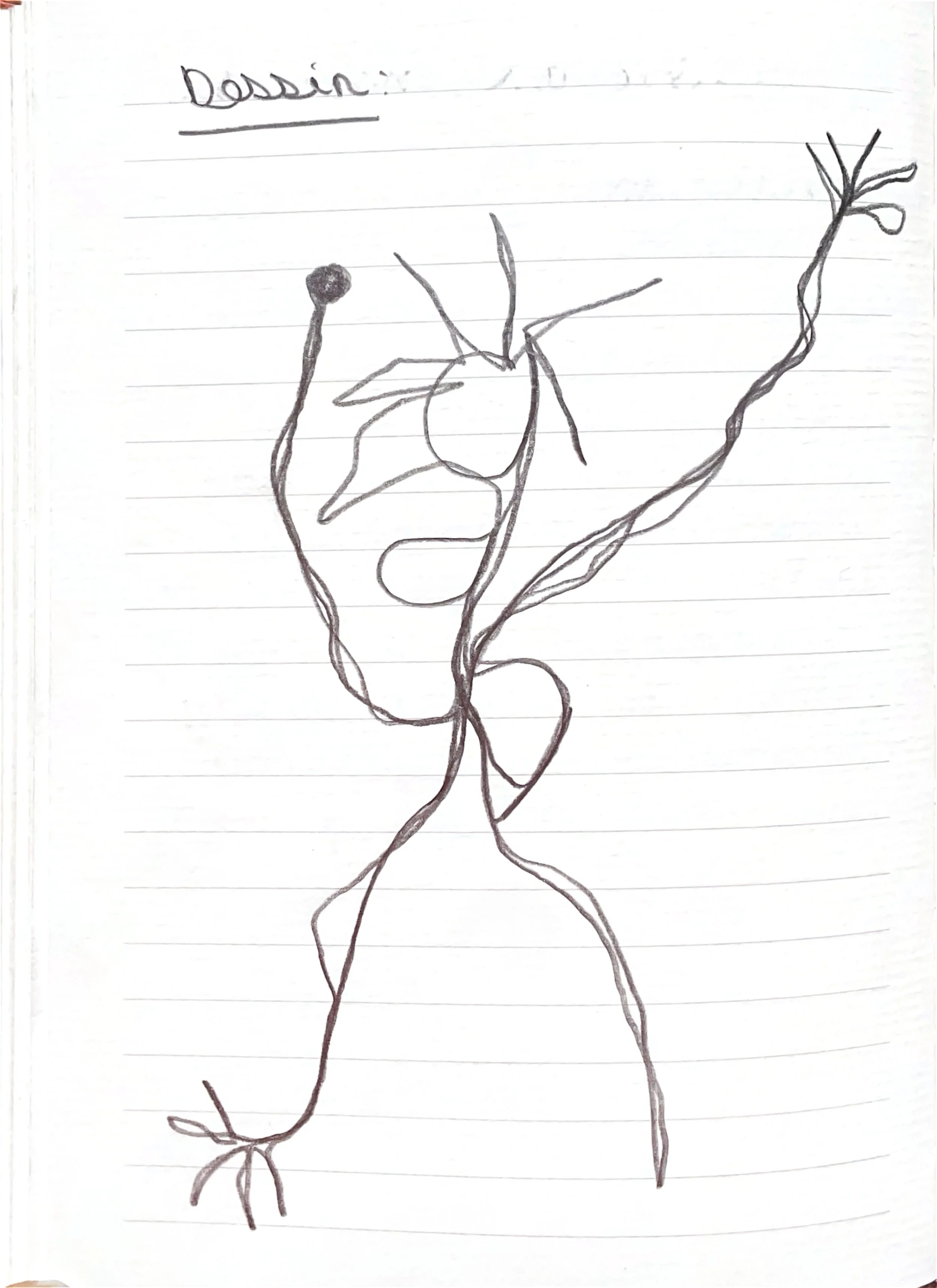 A child's pencil drawing of a plant with twisted stems, leaves, and a flower, with the word 'Botanic' written at the top.