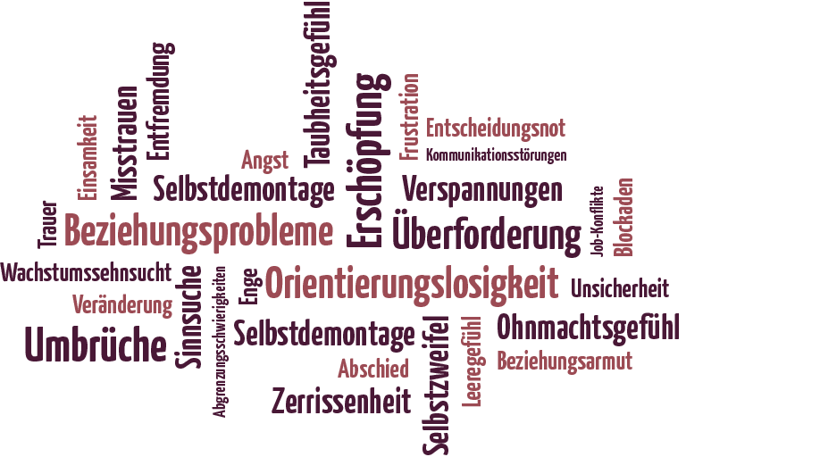 Monika Nelson Wandelwege Bonn Coaching Wortwolke