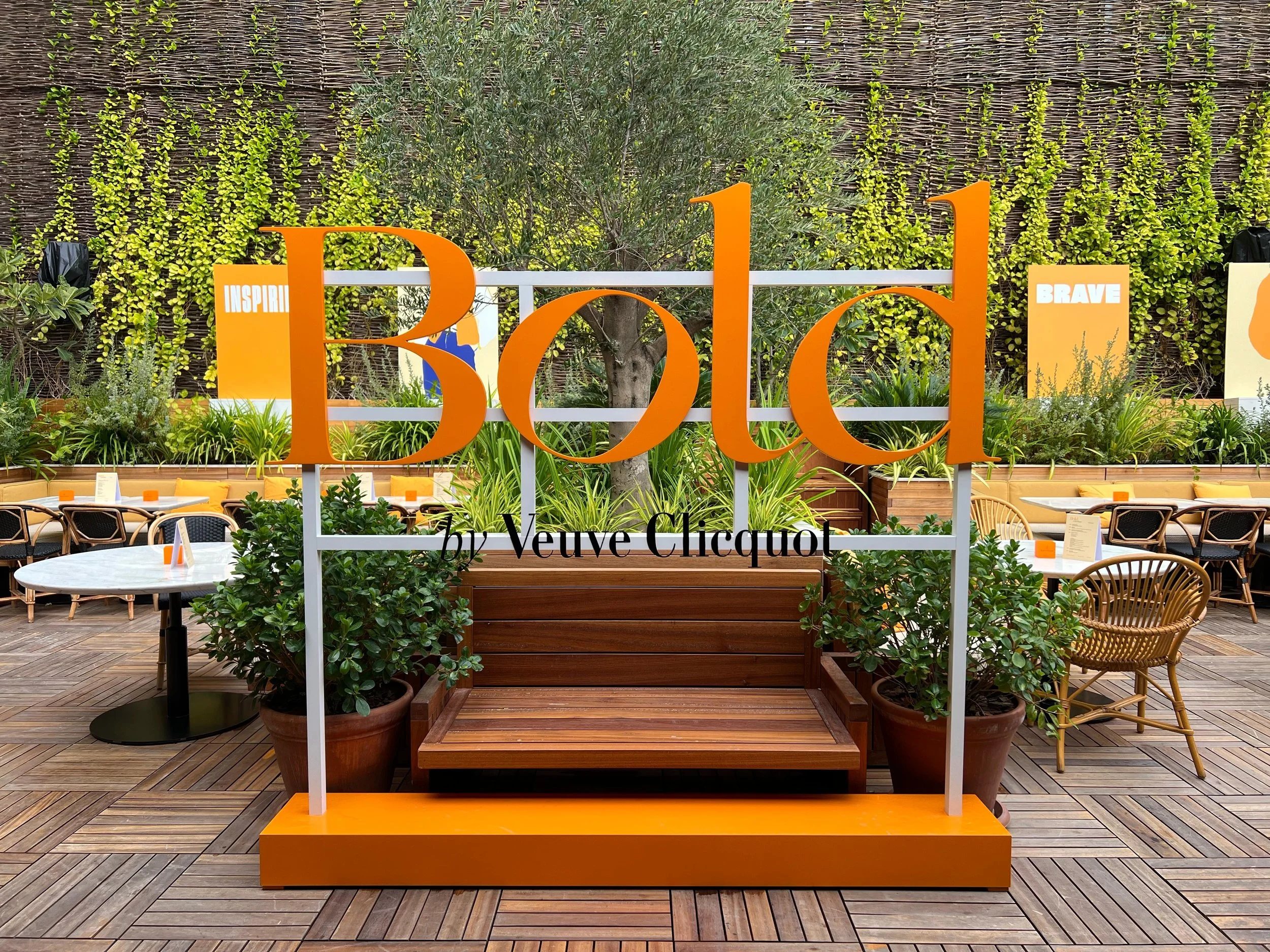 MMI Bold 2024 for BBT