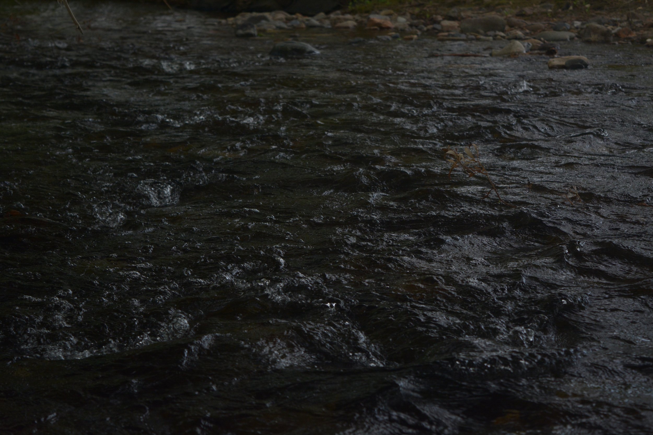 DSC_0385.JPG