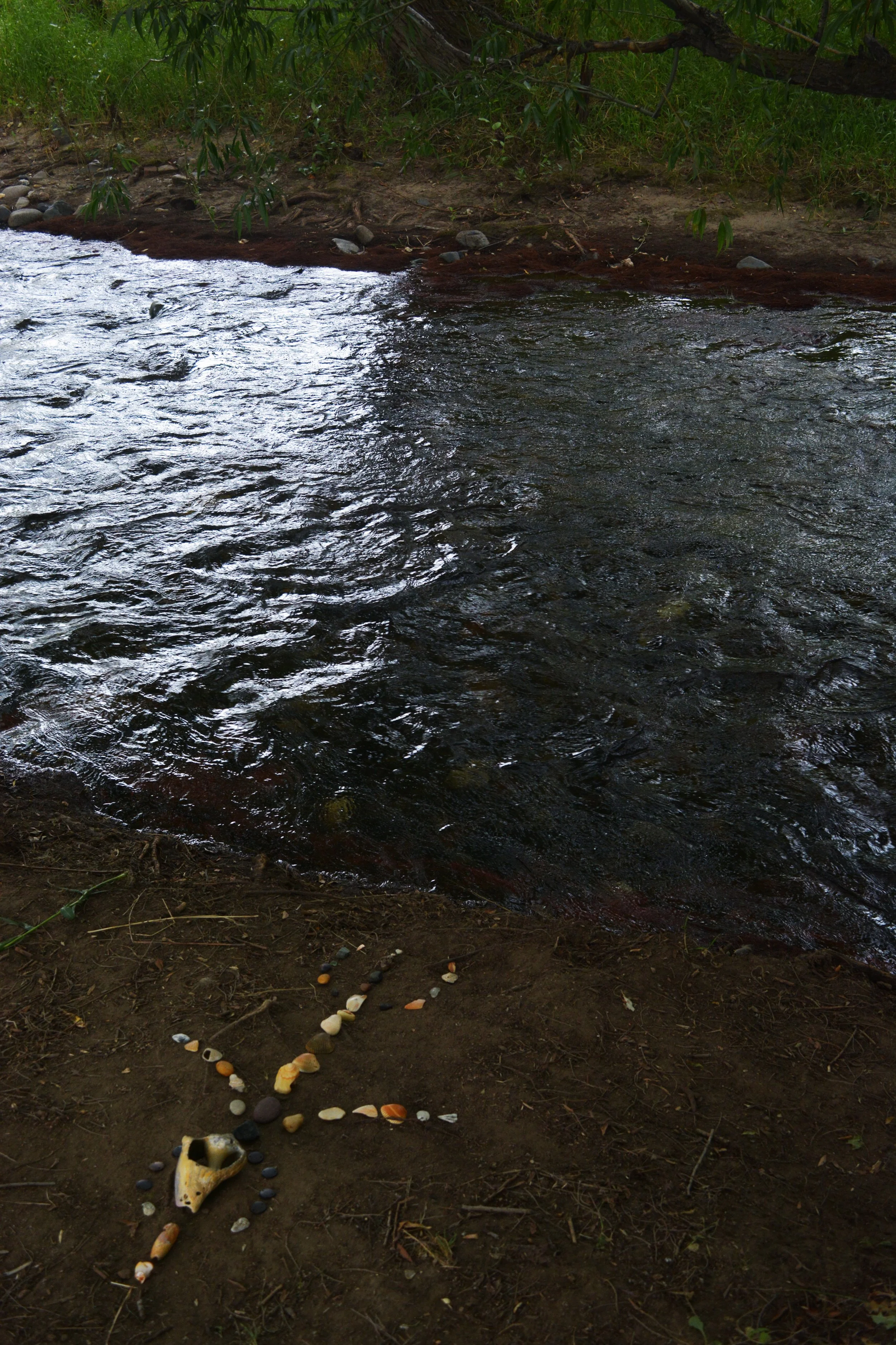 ocean and soil 00.jpg