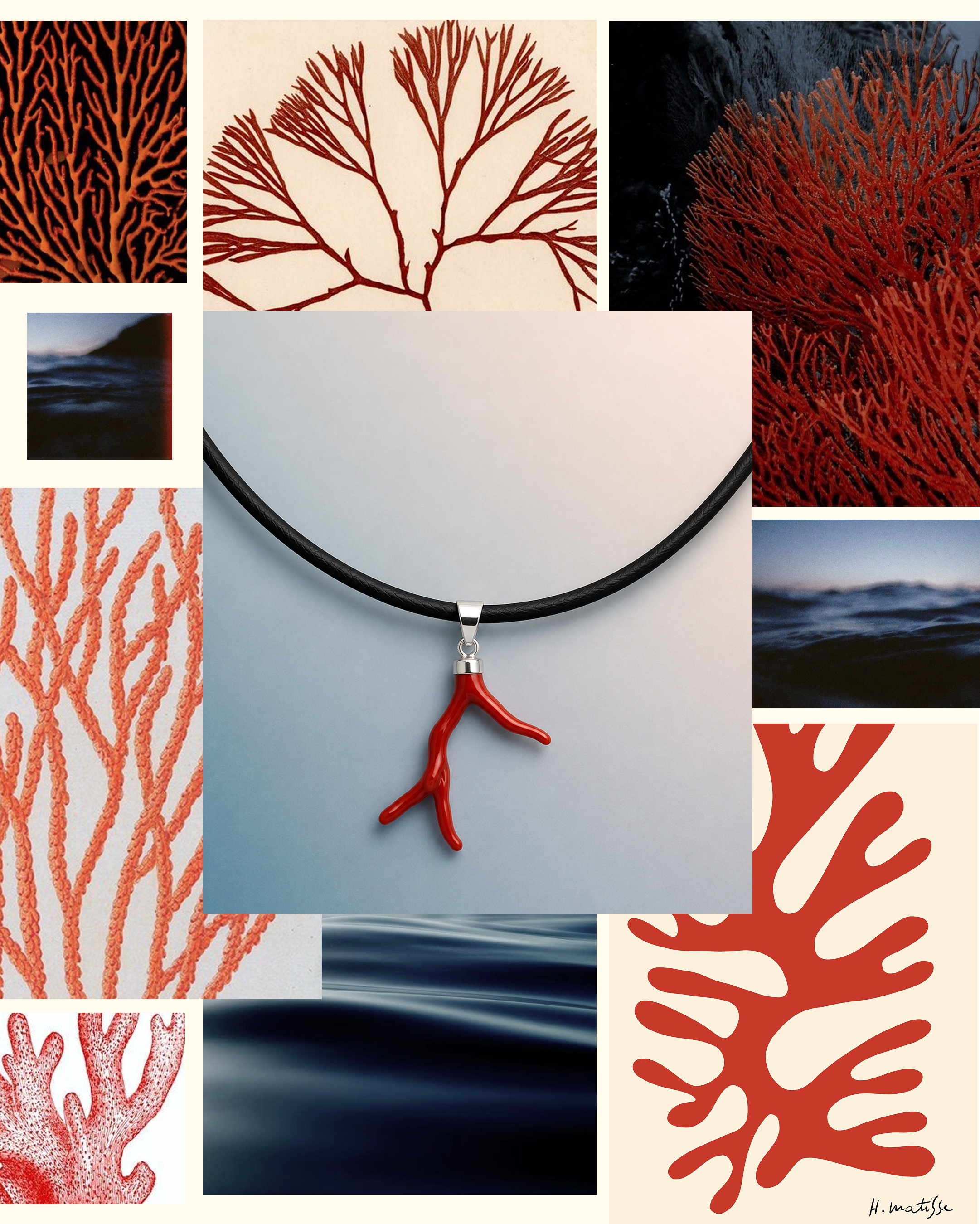 Field Notes No. 03: A Study in Coral