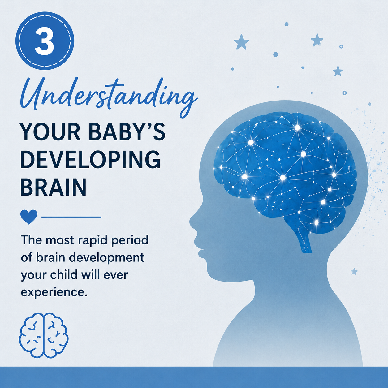 Making Sense of Development the First Year - The Brain