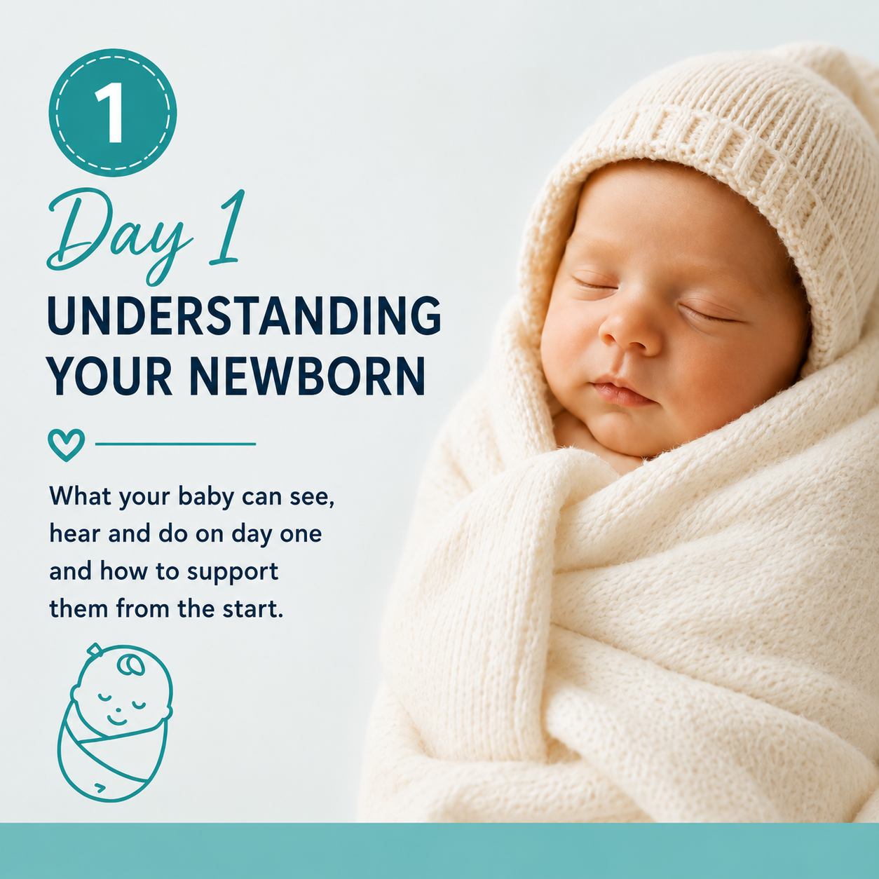 Making Sense of Development the First Year - Your Baby on Day 1