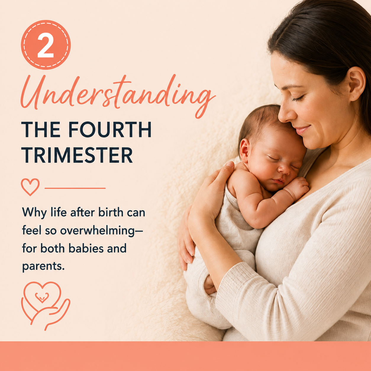Making Sense of Development the First Year - The First Three Months