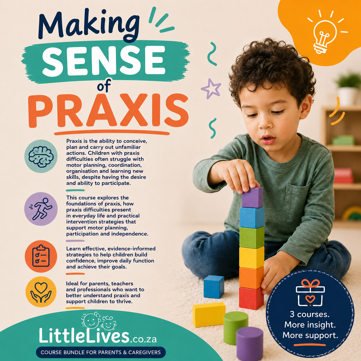 Making Sense of Praxis