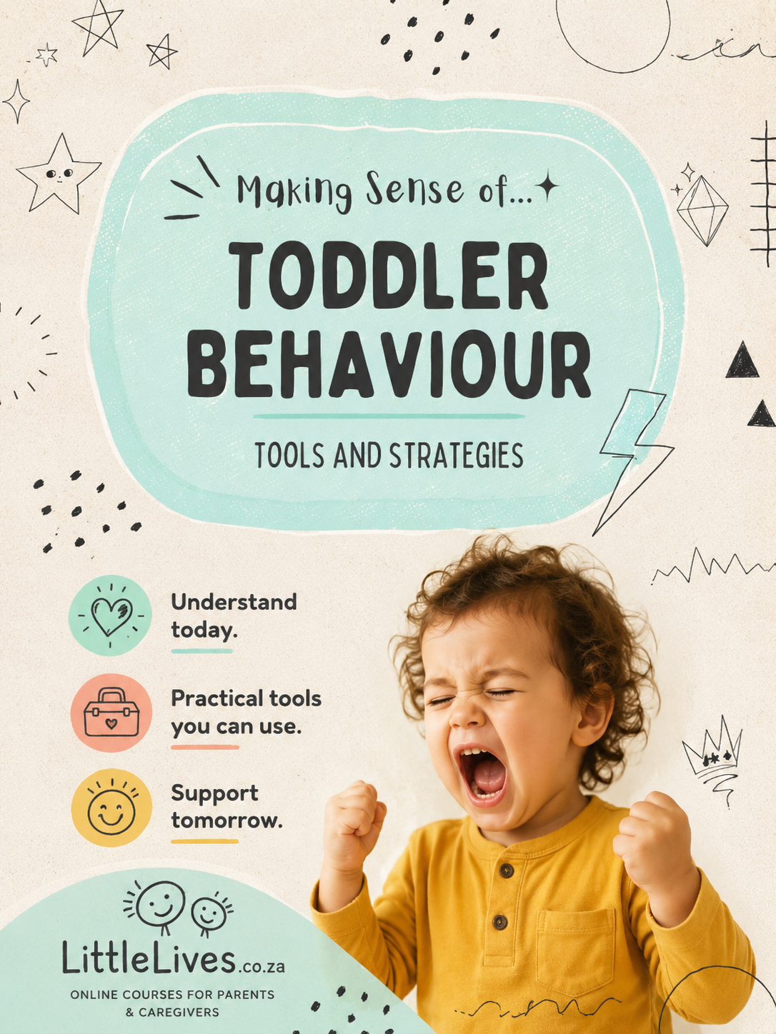 Making sense of toddler behaviour.