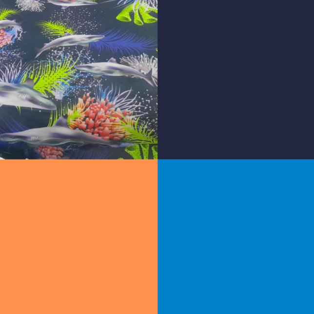 Sensory swing sea life.png