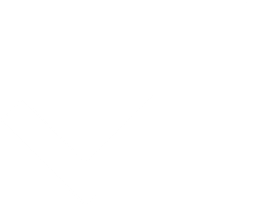 A black and white check mark icon.