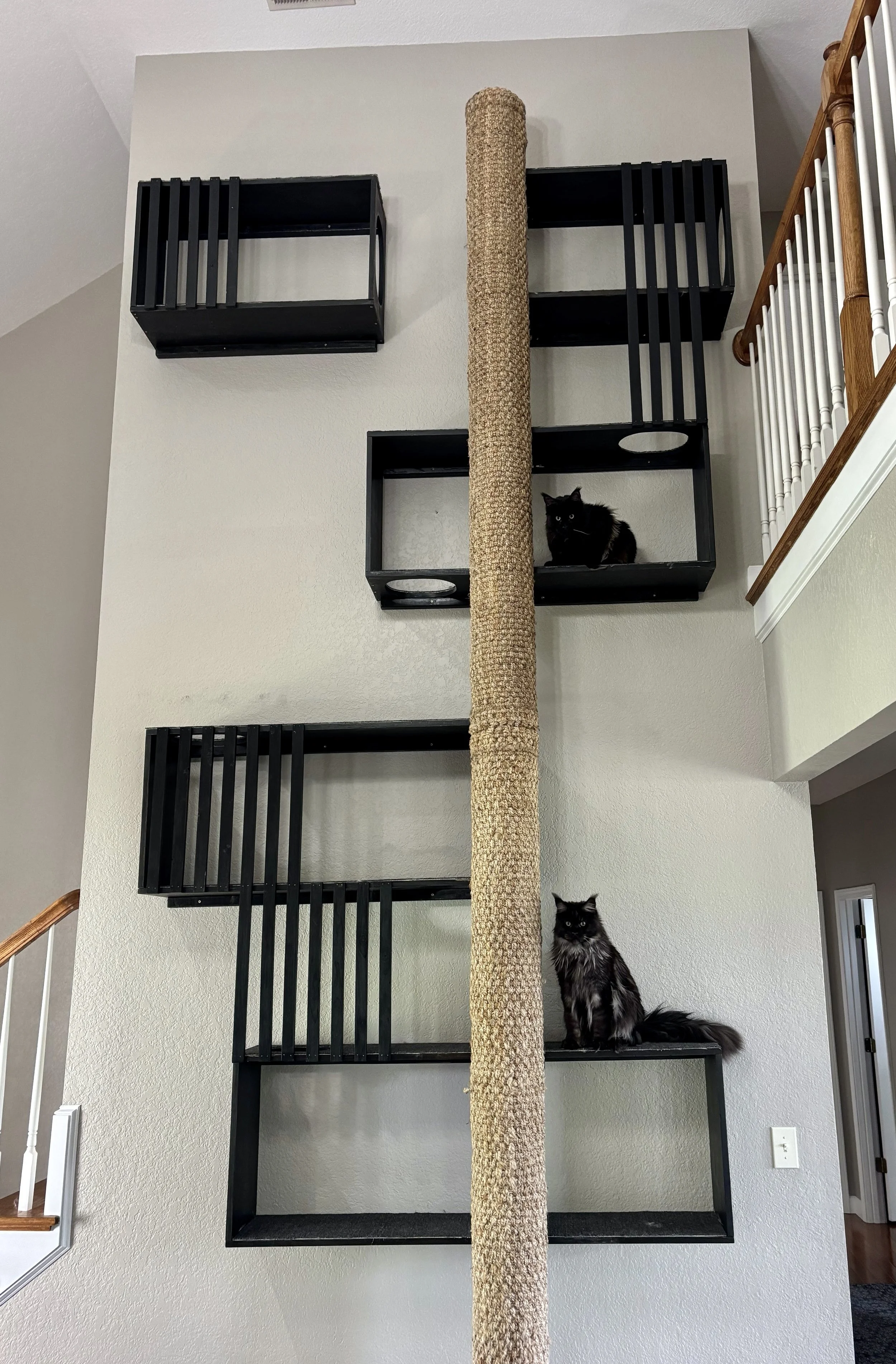 How We Surrendered Our Living Room Airspace (The Making of the 16-Foot Wall)
