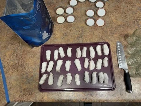 The Raw Truth: How Our Kitchen Became a Whole-Prey Crime Scene