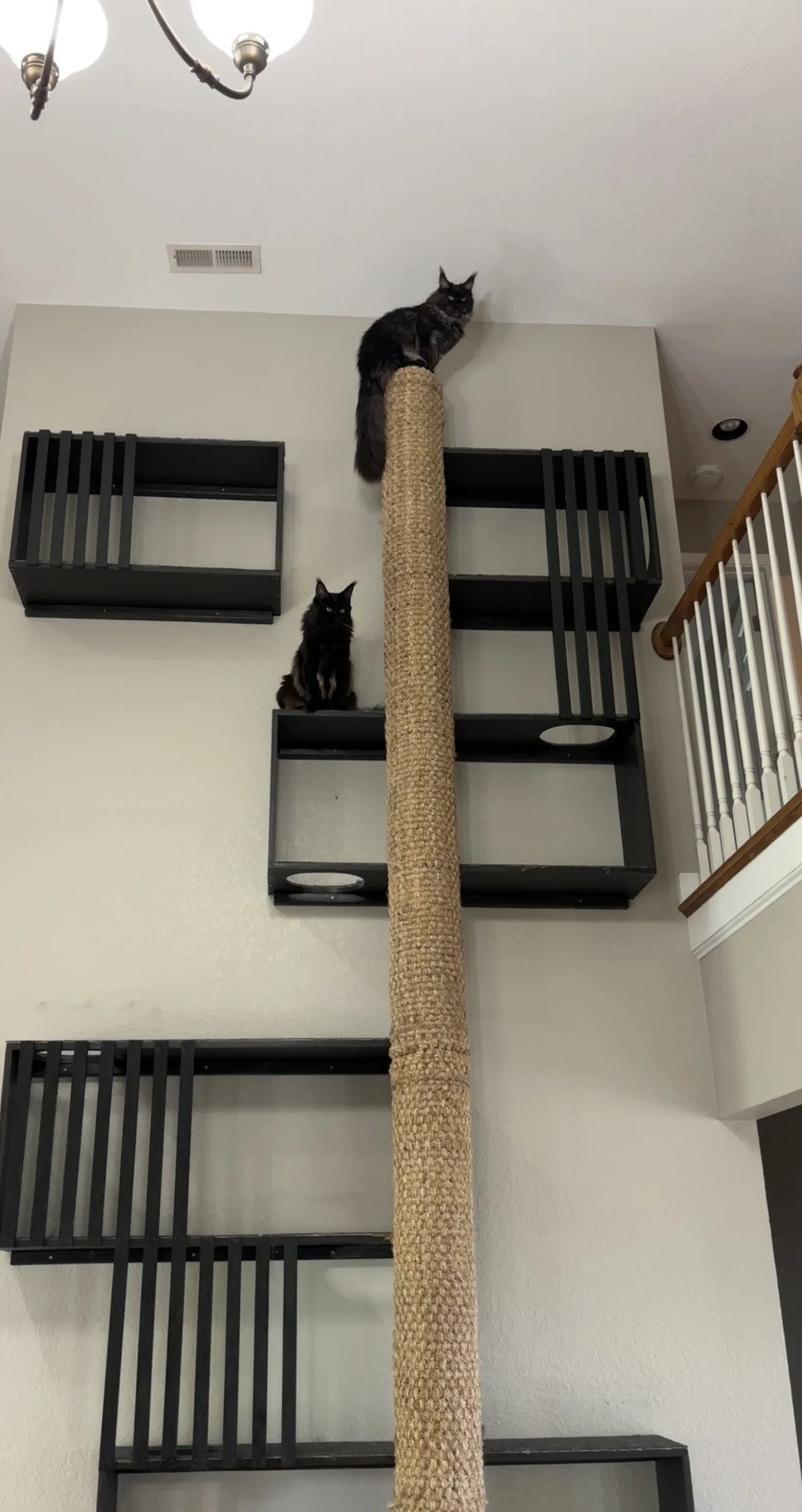 Summit and Shelf Pic.jpg