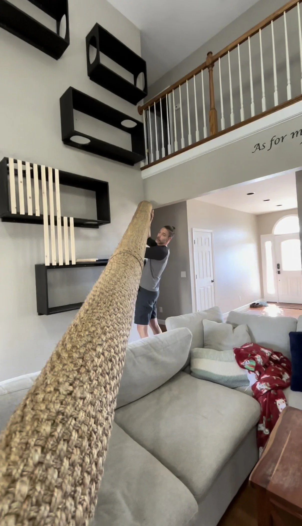 The Monument to Feline Ambition: Build Your Own 16-foot Cat Tree