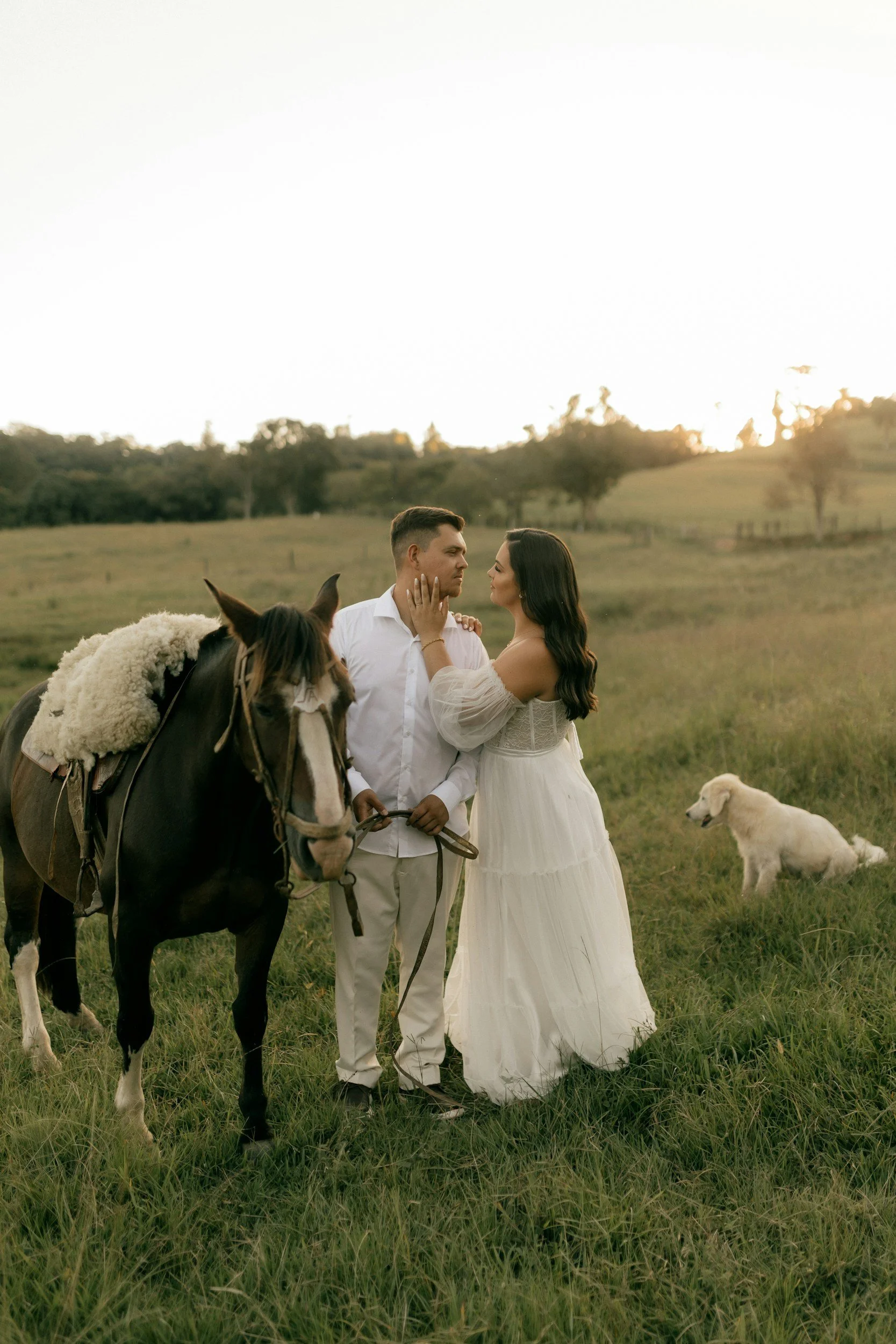 A couple dressed in white wedding attire standing closely together in a green field with two dogs and a black and white horse nearby at sunset, with trees and a fenced pasture in the background.
