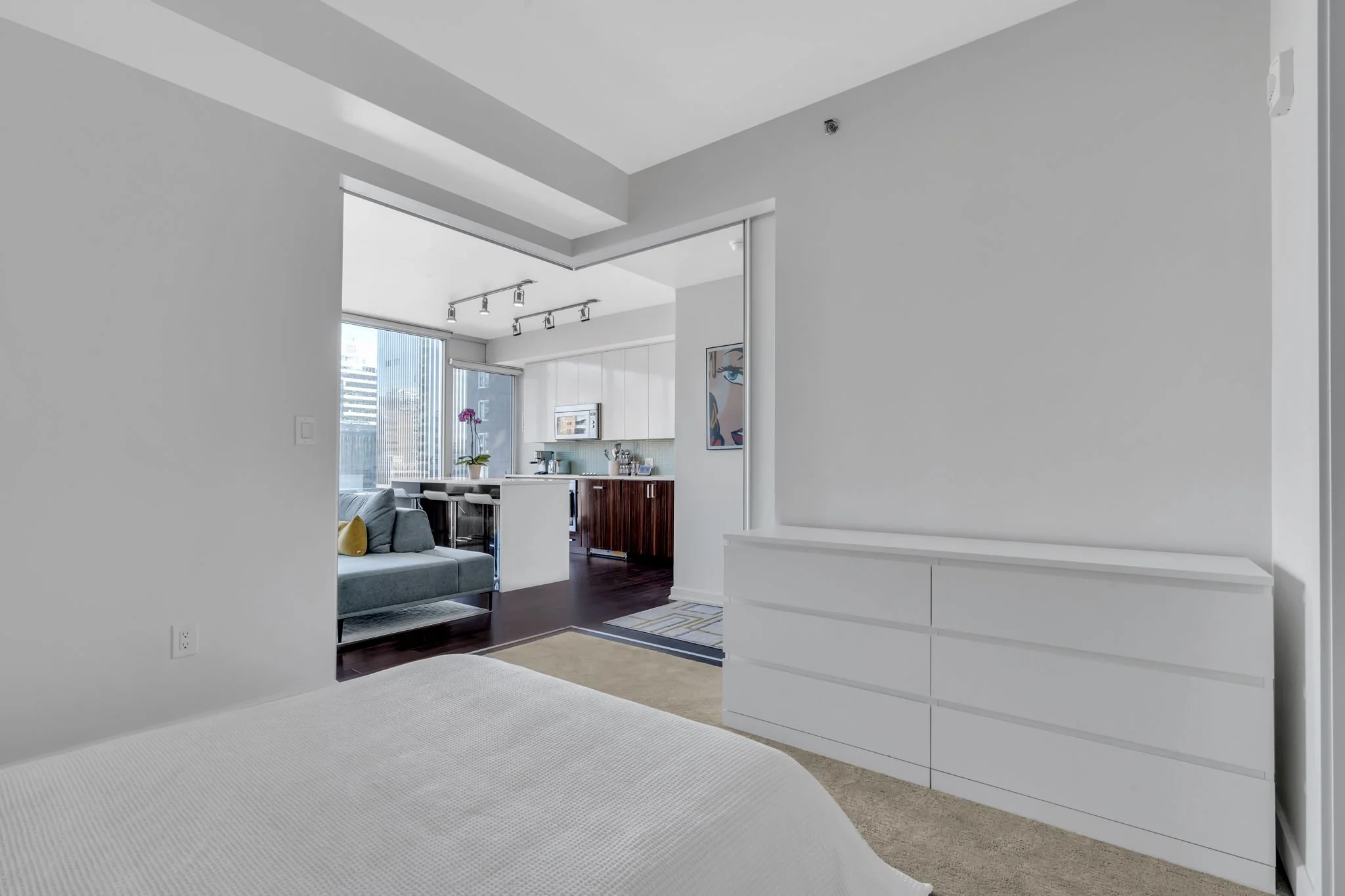 19-web-or-mls-300-lisgar-st-701.jpg