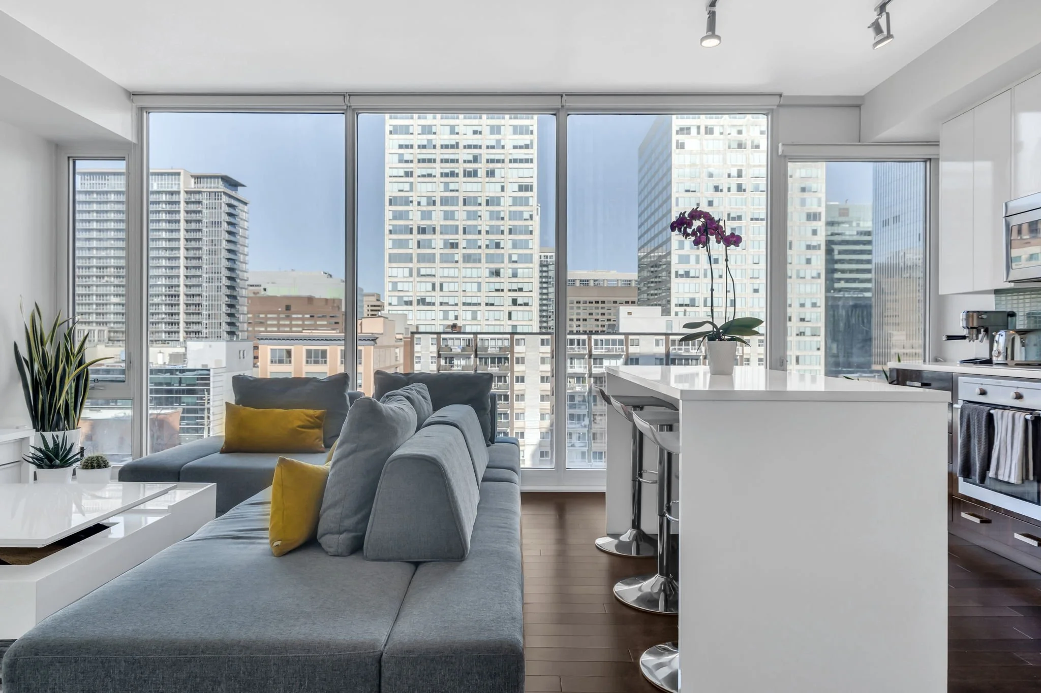 13-web-or-mls-300-lisgar-st-701.jpg