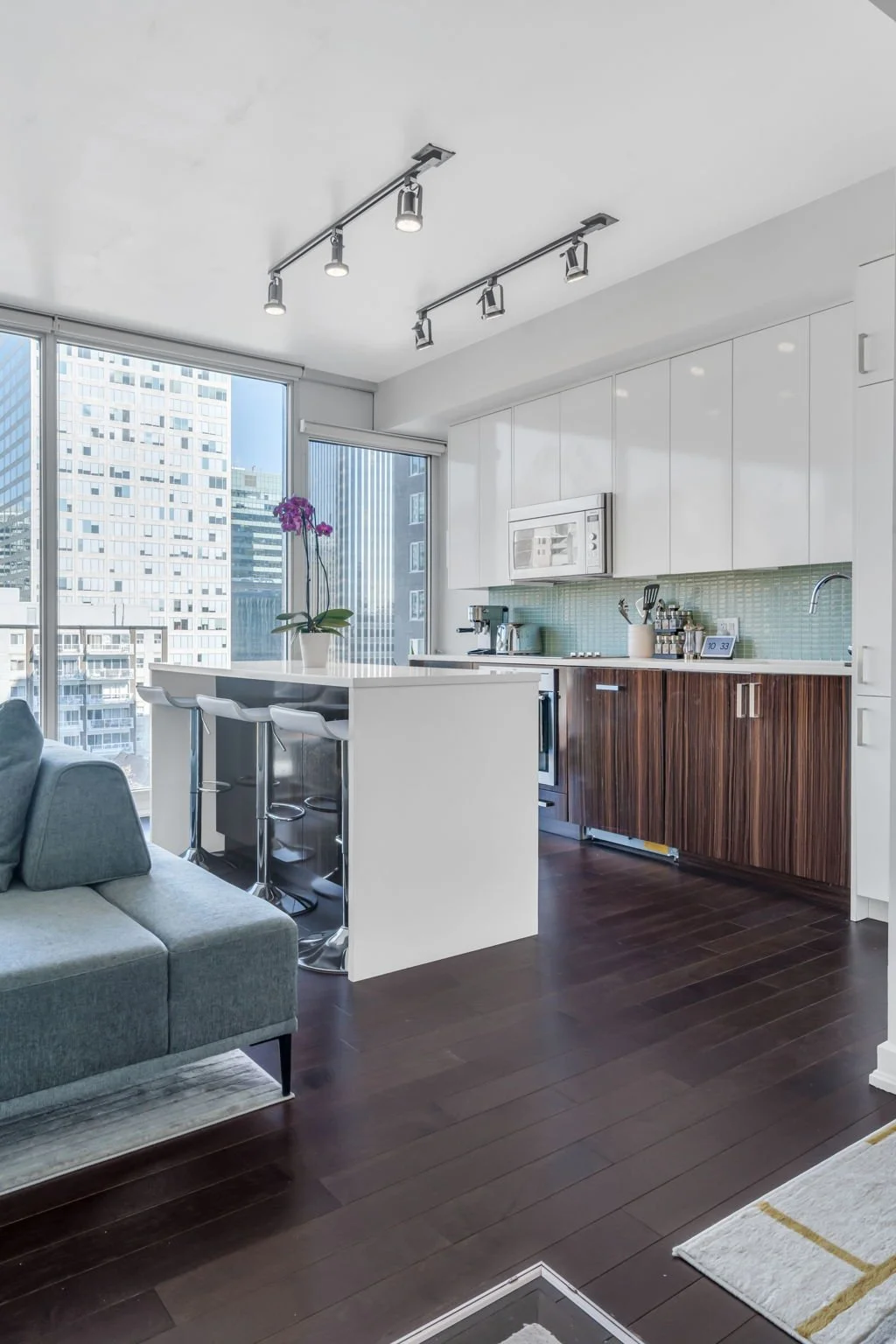 15-web-or-mls-300-lisgar-st-701.jpg