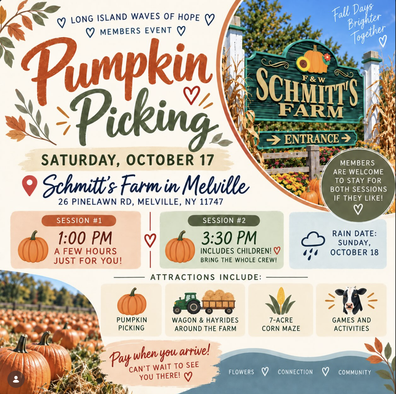 Pumpkin Picking 
