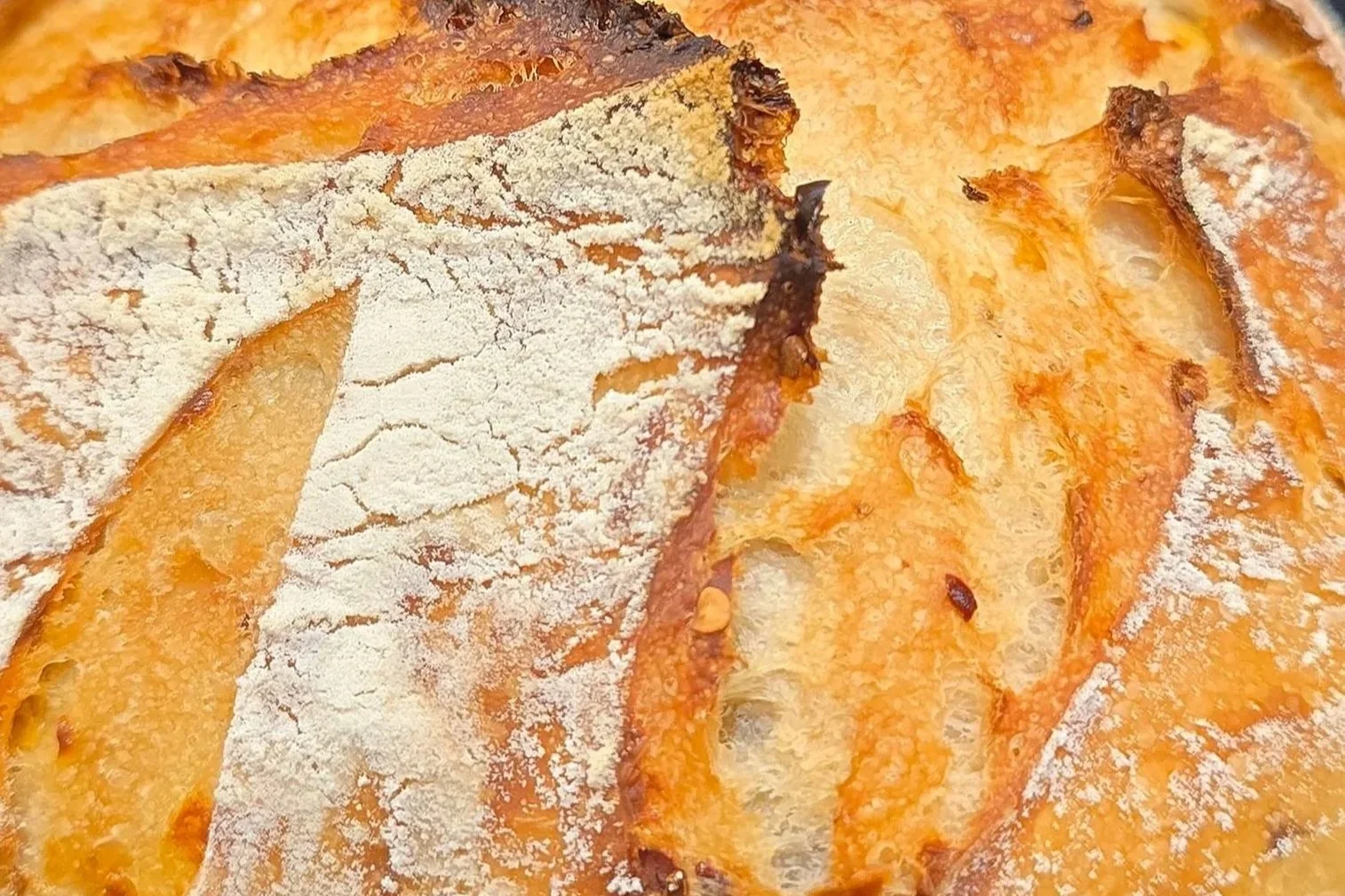 Close-up of a slice of bread toasted with cheese, with melted cheese visible underneath and a dusting of powdered sugar on top.