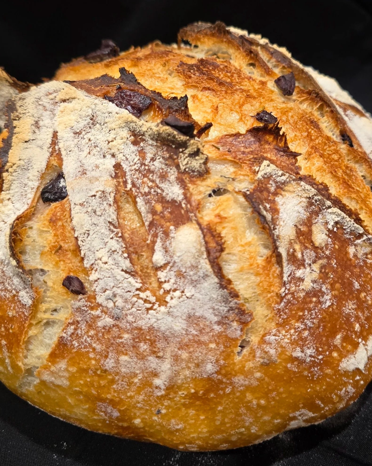 Close-up of a toasted bread with chocolate chips and powdered sugar on top.