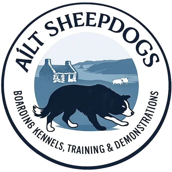Aílt Sheepdogs