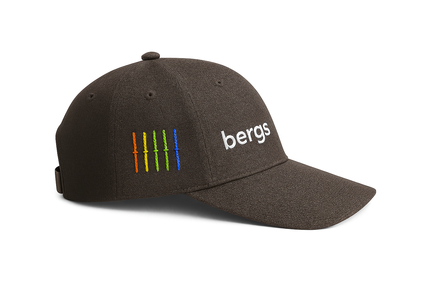 A black baseball cap with rainbow-colored embroidered lines, the word 'bergskaap' embroidered in white on the front, and a curved brim.