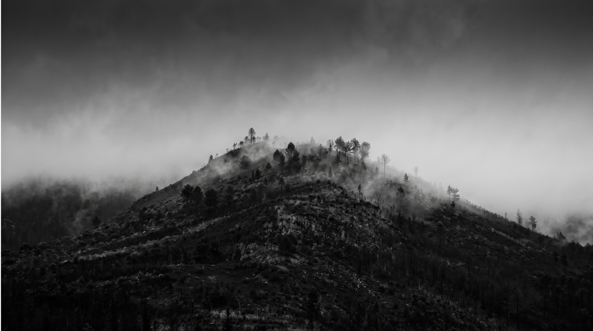 Black and white photo of a misty mountain landscape with trees on the slopes and fog rolling over the ridges.