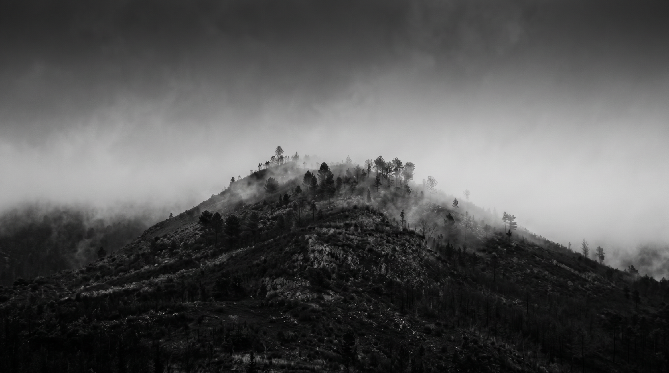 A black and white photo of a misty mountain with trees on top and fog surrounding it.