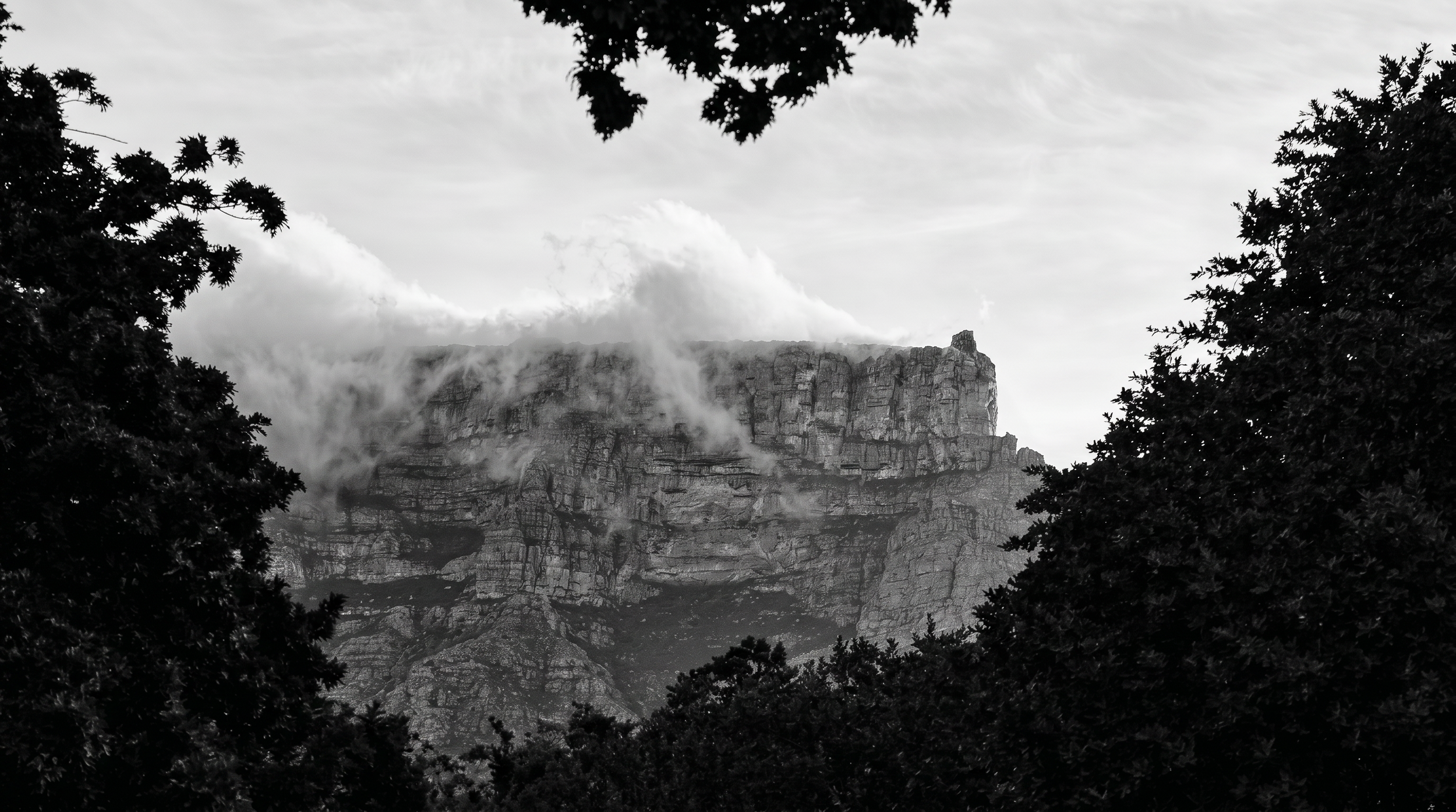 Black and white photo of a mountain partially covered by clouds, with trees in the foreground.