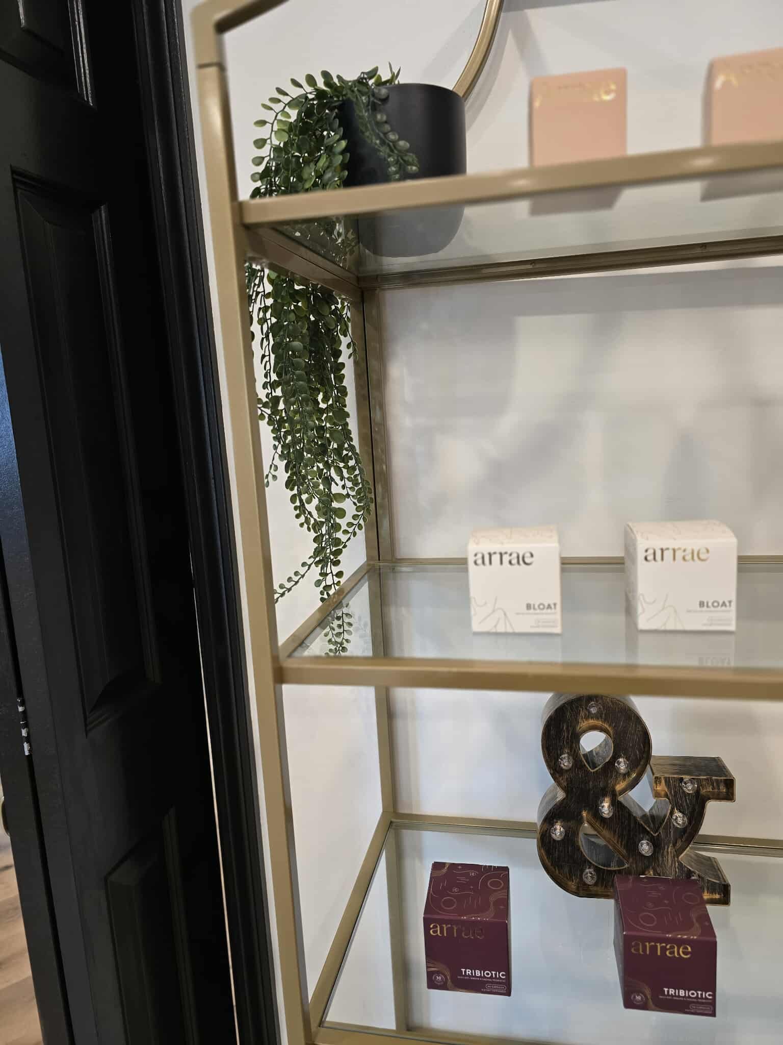 A display shelf containing potted plant and boxes labeled 'arrae,' along with ledge with some pink squares and a sculpture, with a mirror in the background.