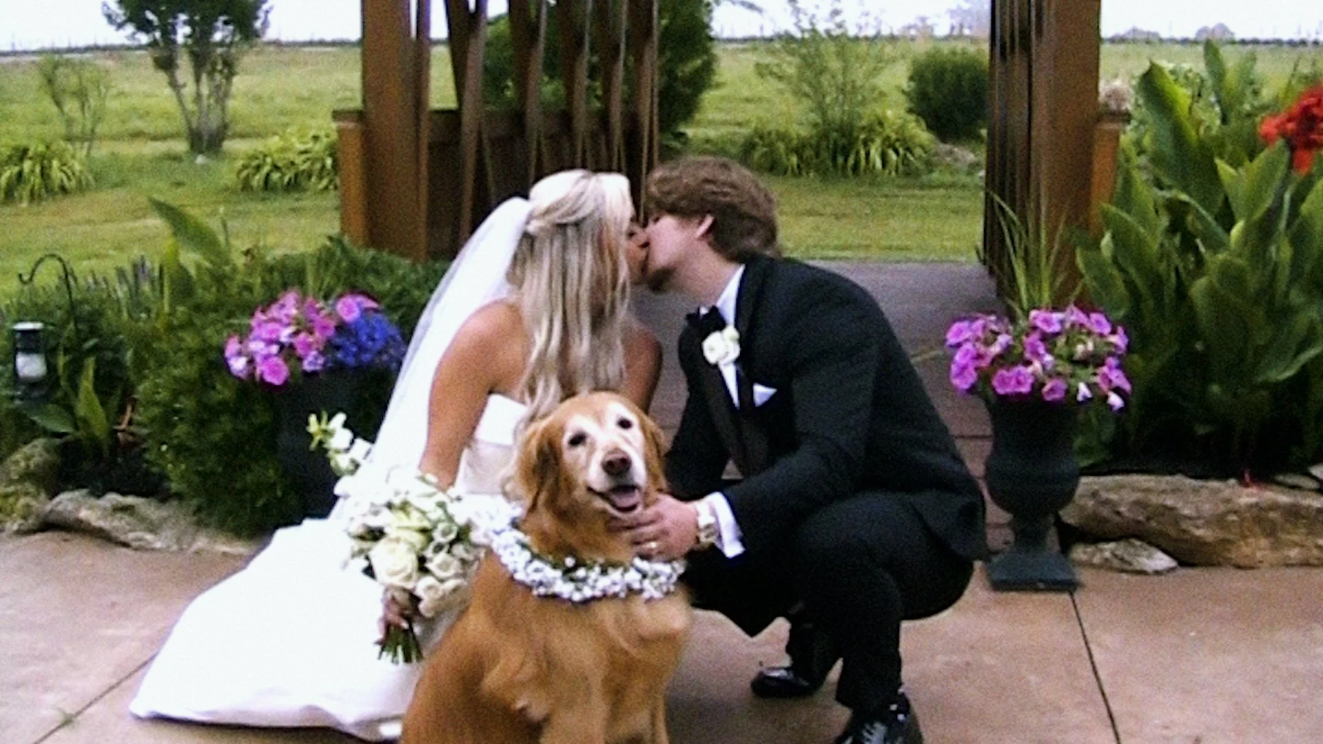 A bride and groom kiss while kneeling on a porch, with a golden retriever in front wearing a floral collar. The shot was taken with an old camcorder that was rented from a wedding rental site