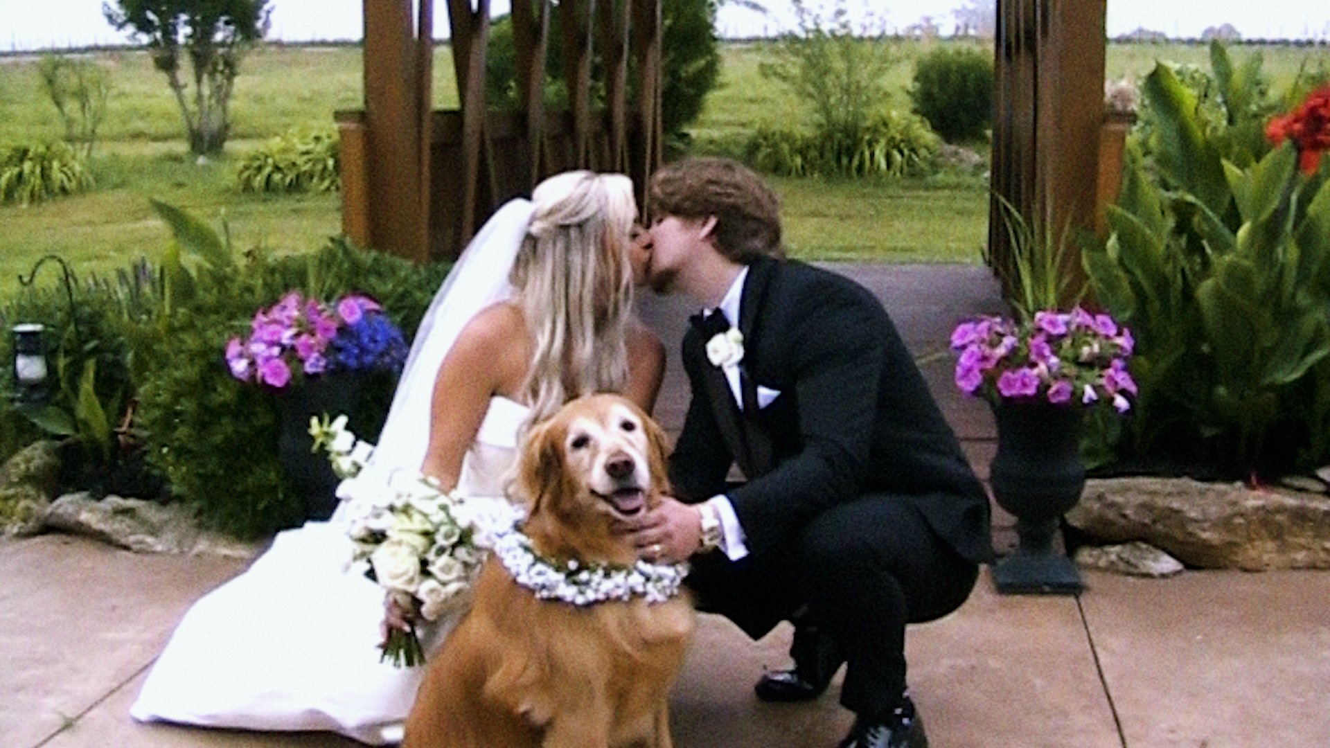 A bride and groom sharing a kiss at their wedding, with a golden retriever dog decorated with a flower garland sitting in front of them. The background includes flowers and greenery. Taken on a disposable camera to give a nostalgic, vintage look.