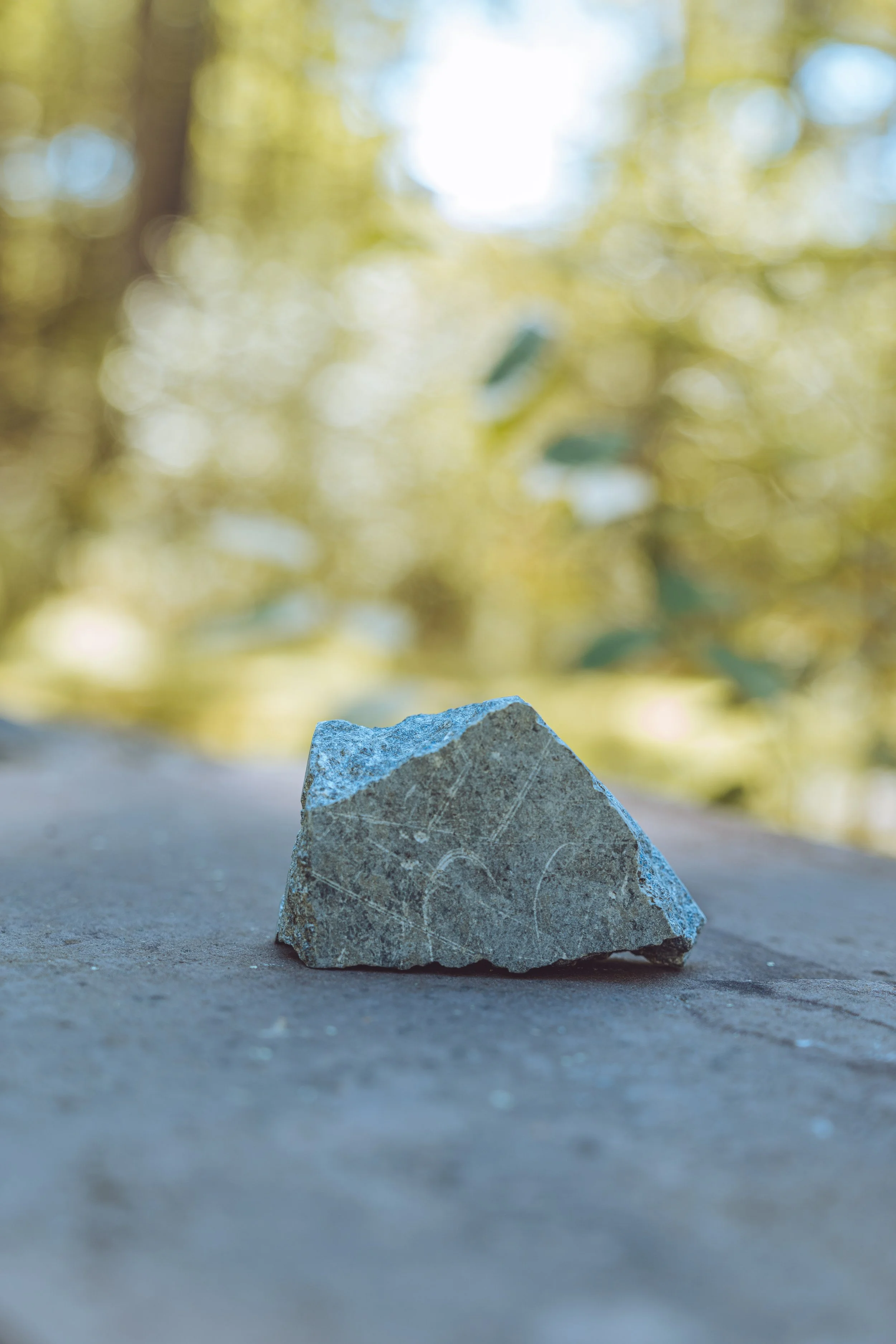 20250925_Gravitas product 2_LittlePondDigital -4.jpg