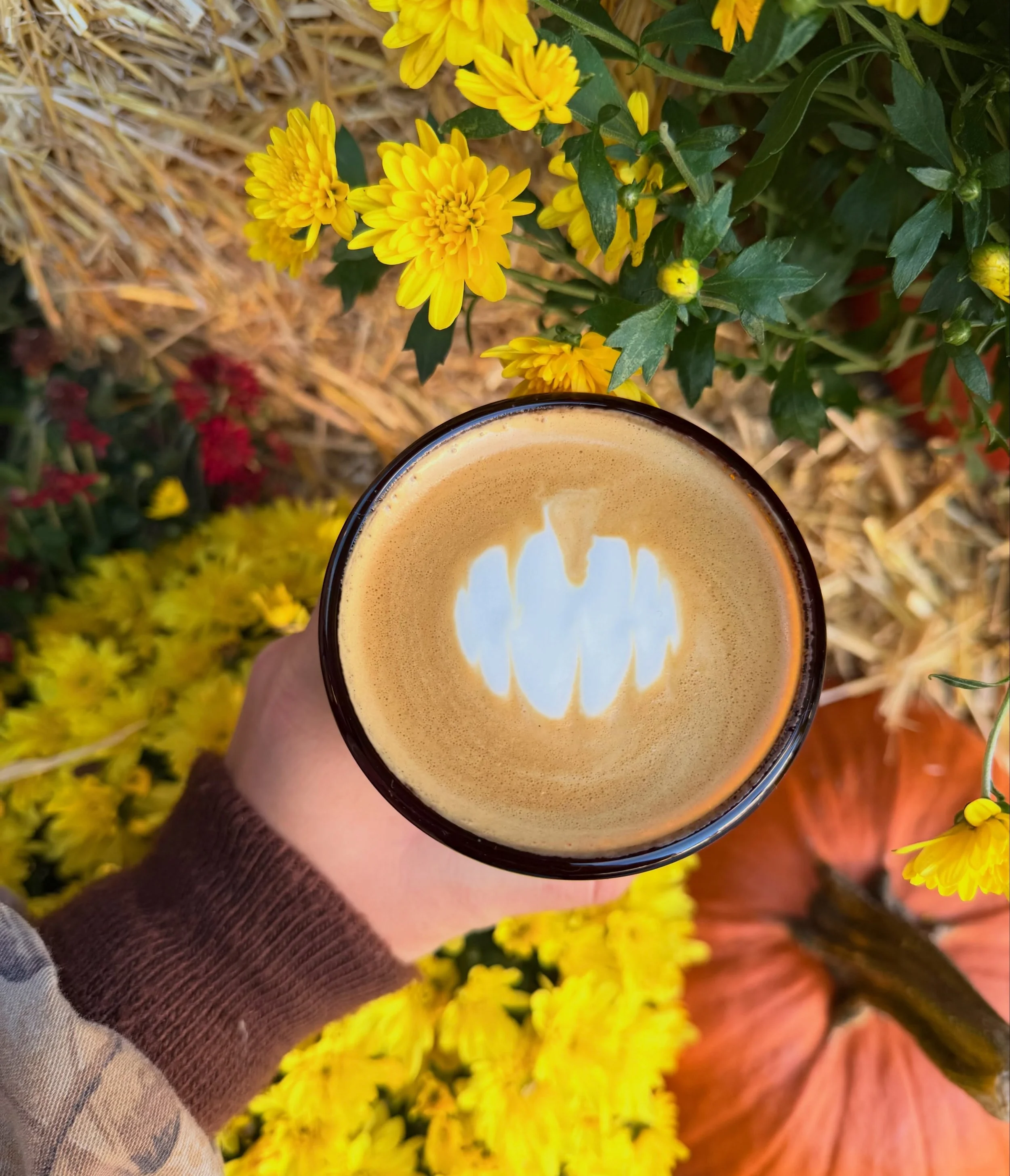 Nothing important today. Just reminding you that your afternoon cappuccino is waiting for you. 

#coffeeshop #njcoffee #roastery #freshcoffee #fanwoodnj
