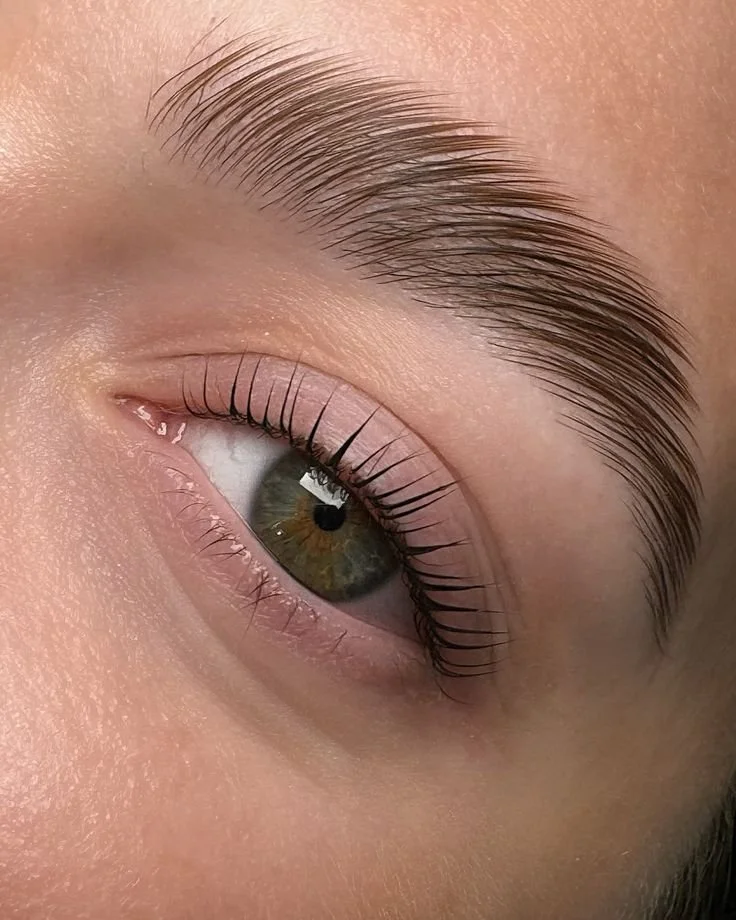 Laminado de Cejas